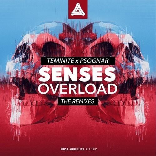 Senses Overload (The Remix)