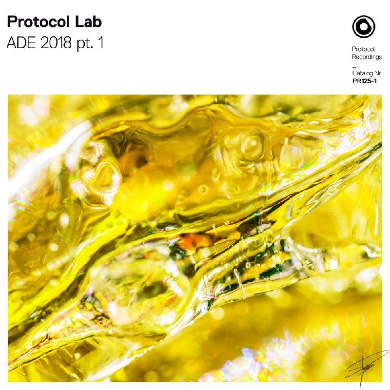 Protocol Lab: ADE 2018 part 1