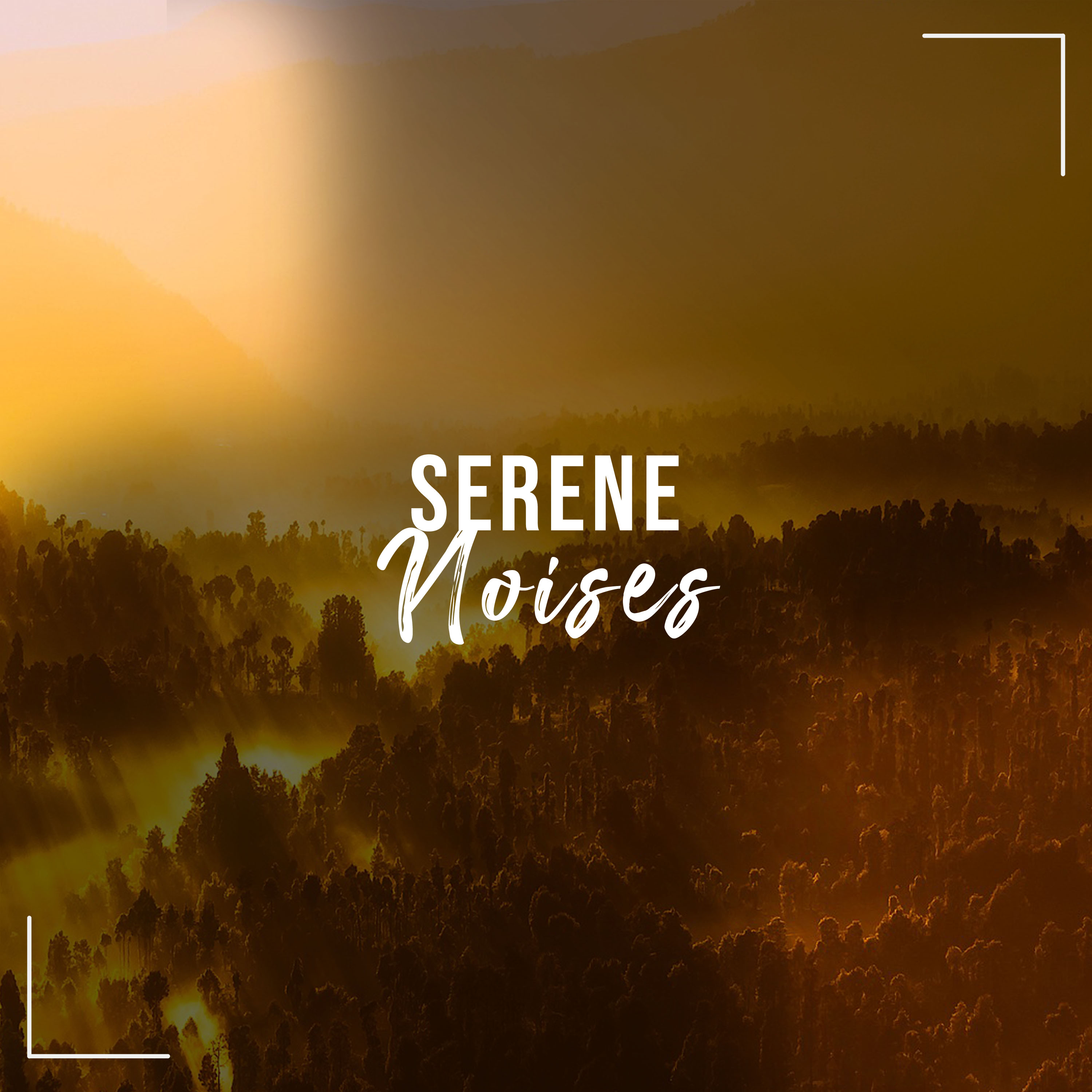 #17 Serene Noises to Provide Focus