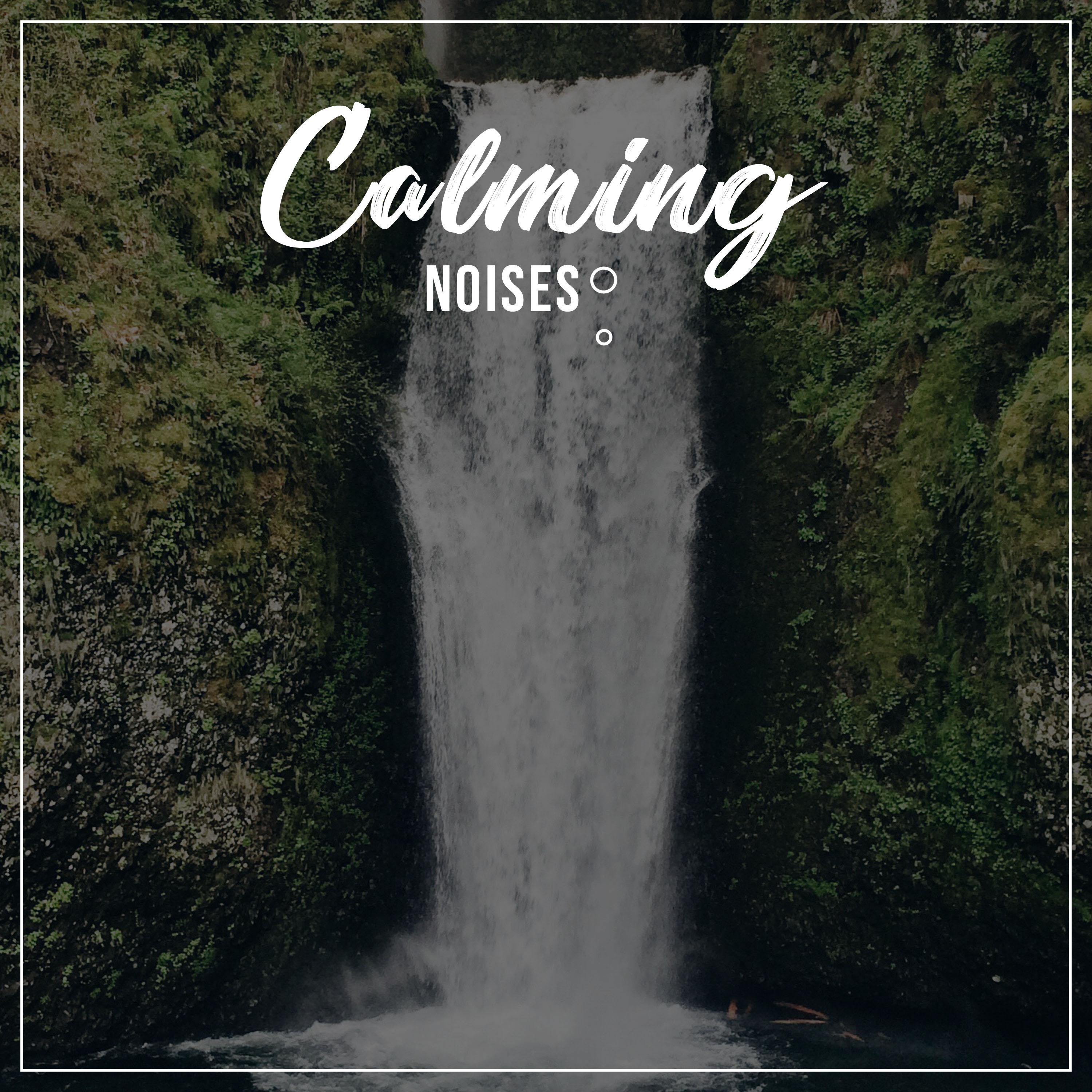 #13 Naturally Calming Noises for Ultimate Relaxation