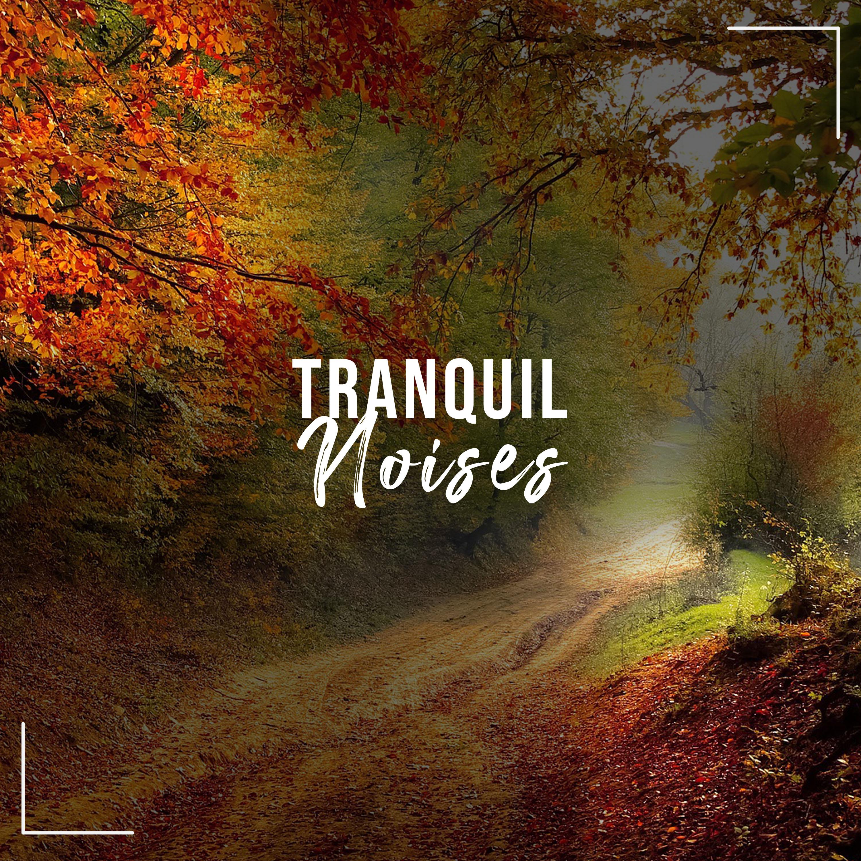 #18 Tranquil Noises to Free the Soul
