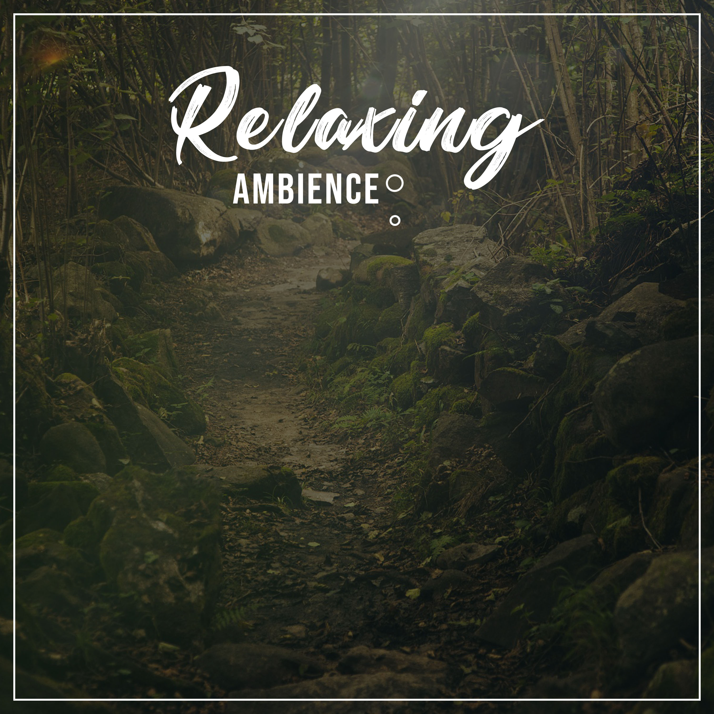 #20 Relaxing Ambience Noises for Mindfulness