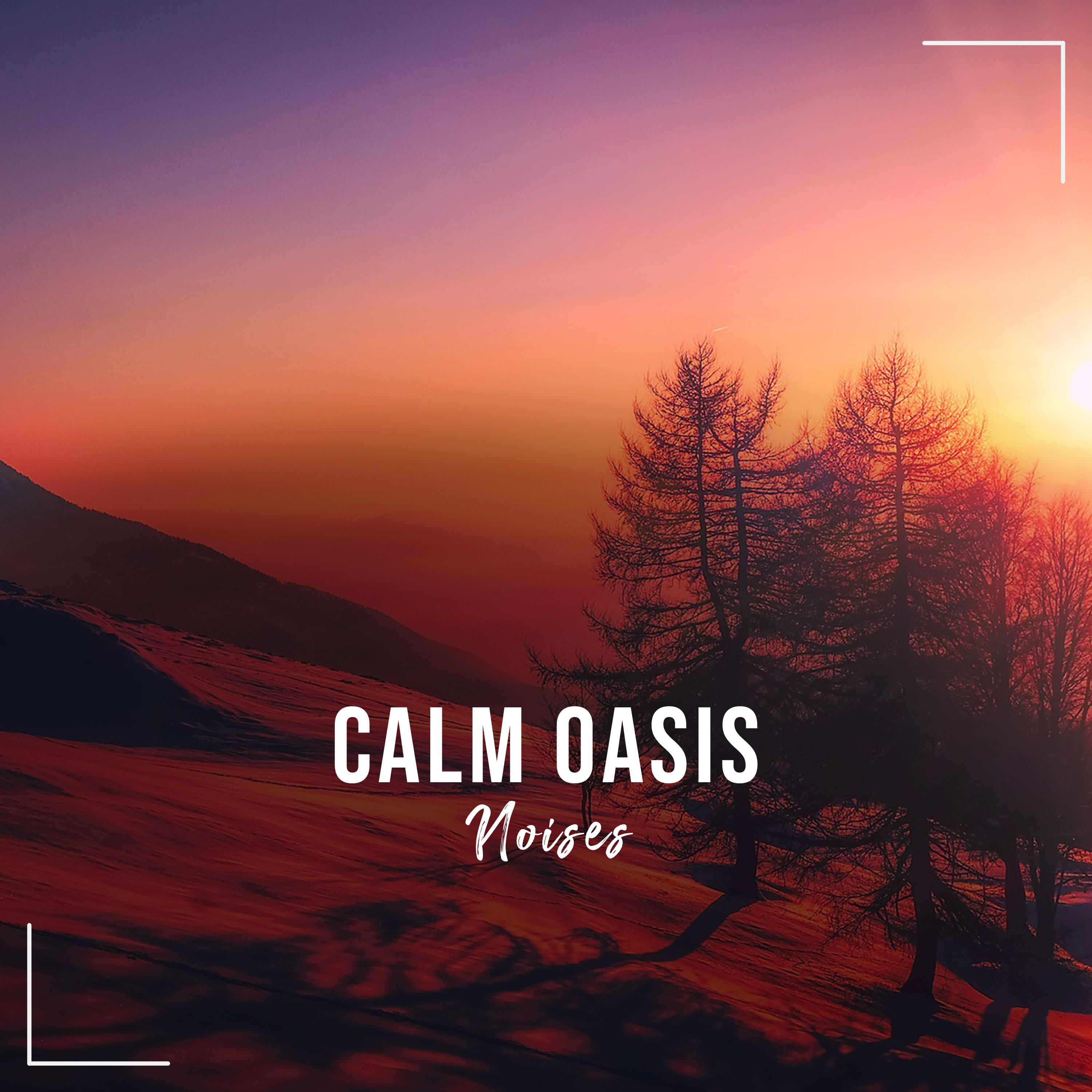 #13 Calm Oasis Noises to Calm your Brain