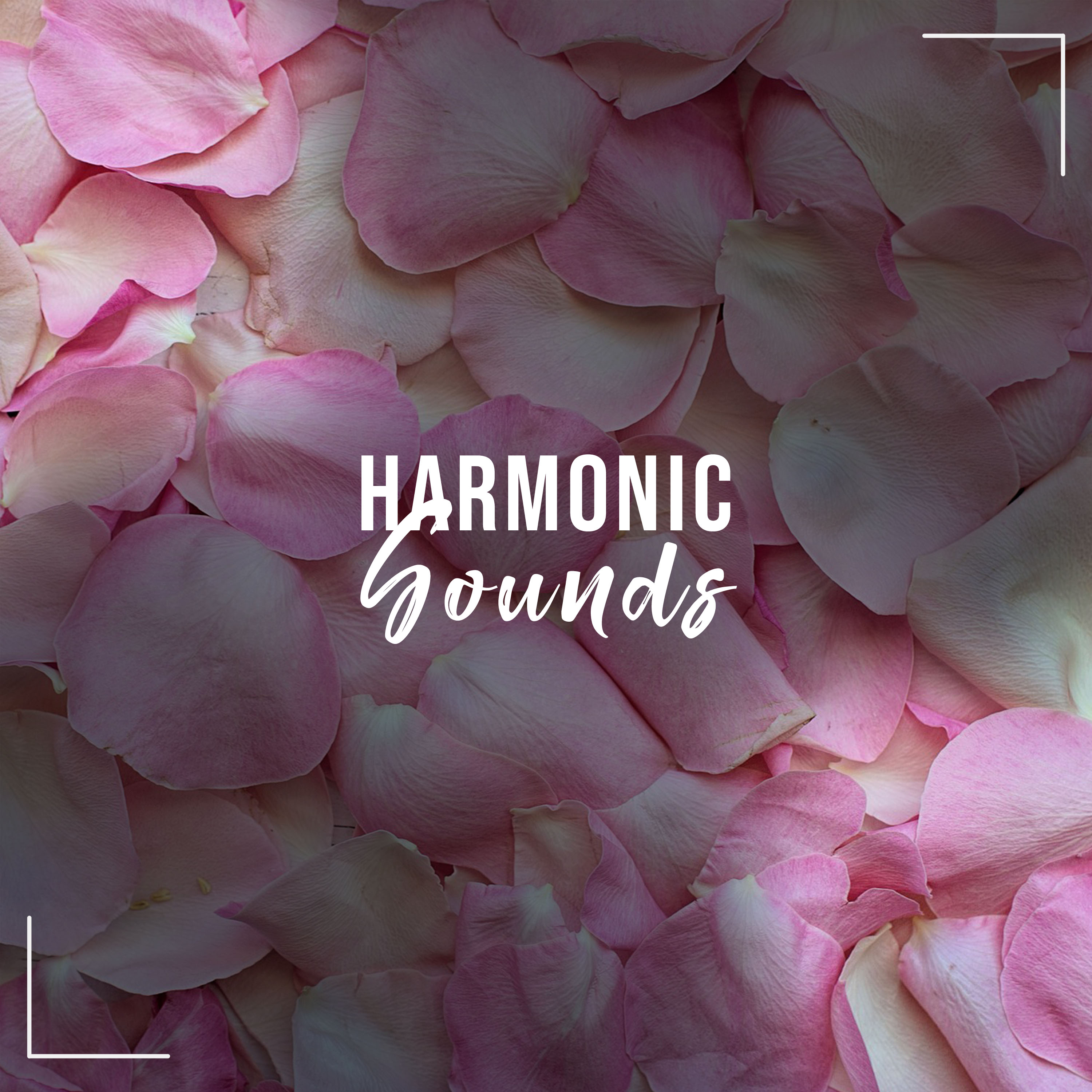 #12 Harmonic Sounds to Clear your Mind