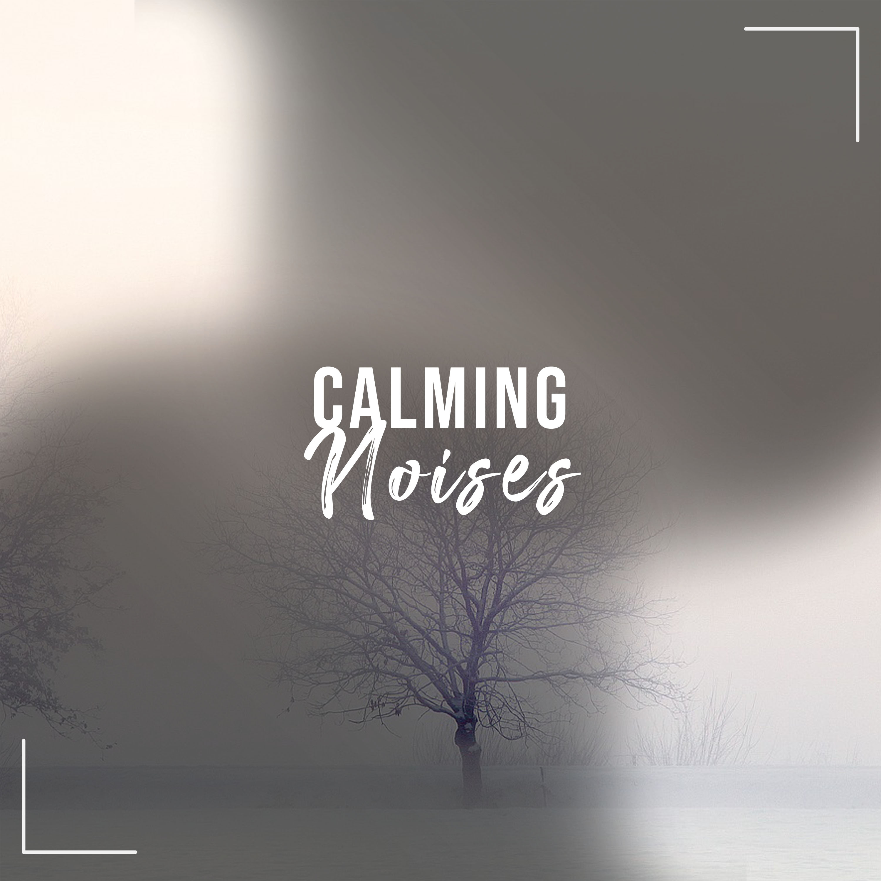 #1 Hour Naturally Calming Noises to Relax
