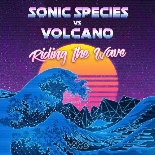 Riding The Wave (Original Mix)