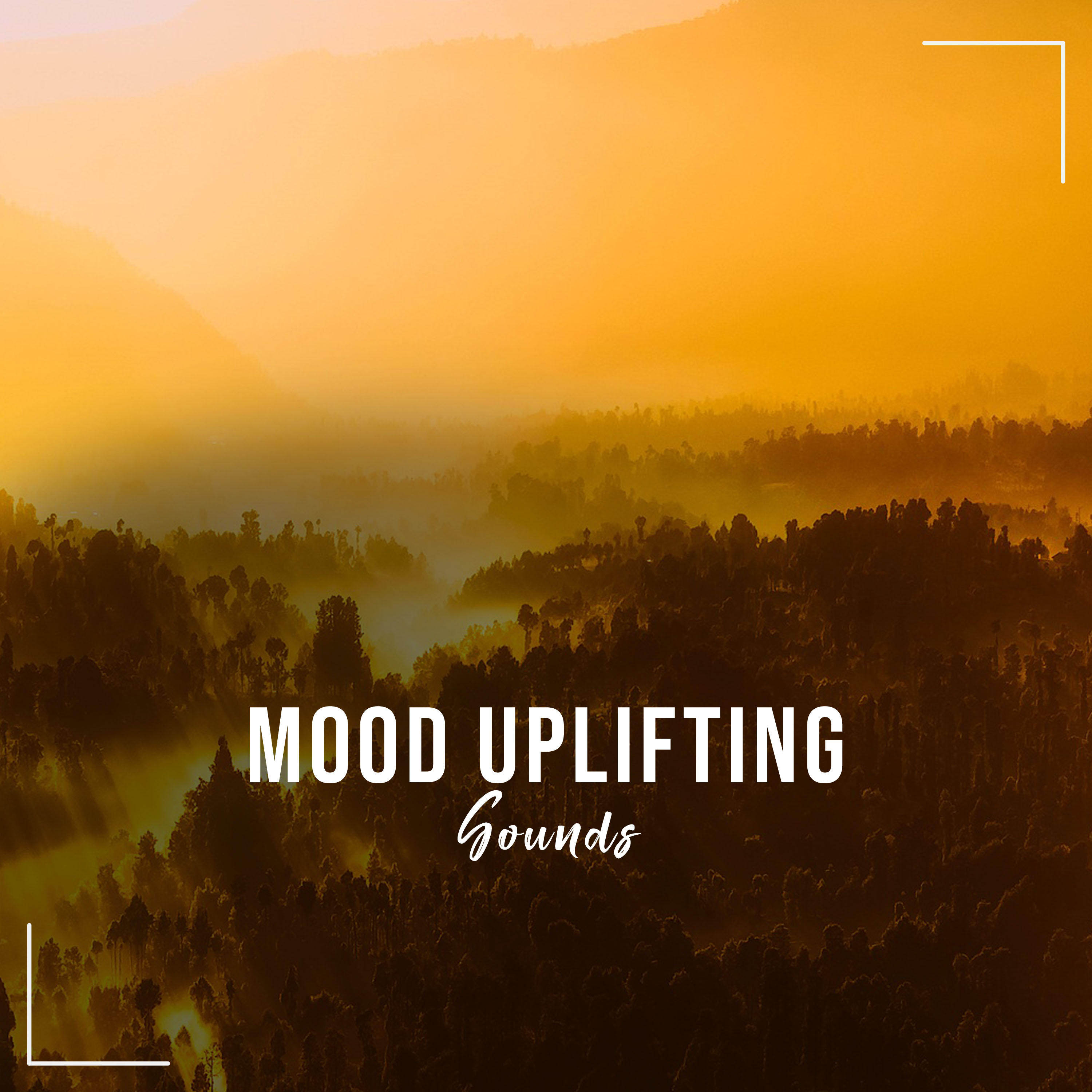 #12 Mood Uplifting Sounds to Relax and Unwind