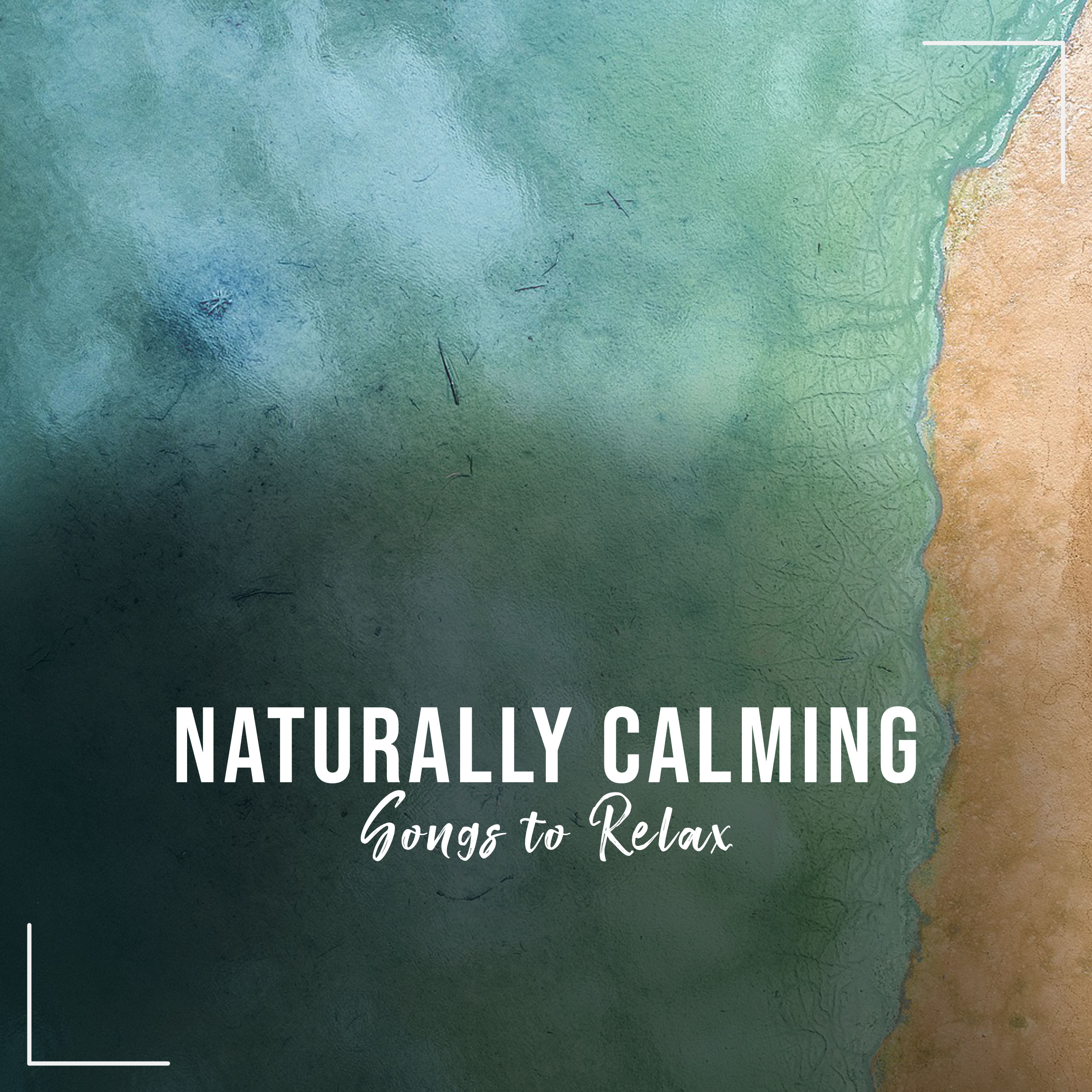 #20 Naturally Calming Songs to Relax
