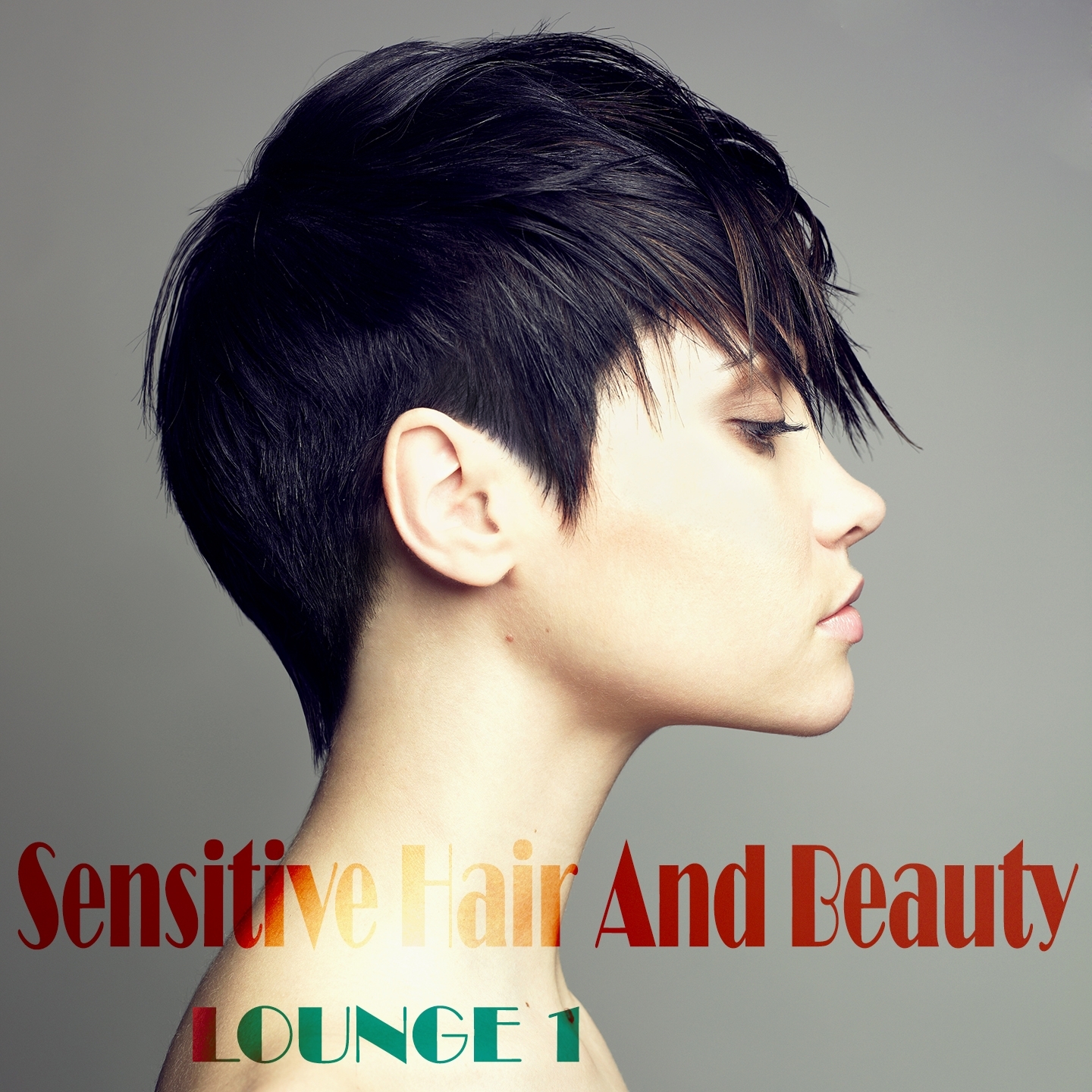 Sensitive Hair and Beauty Lounge, Vol. 1 (The Anthology of Stylish and Modern Chill Out)