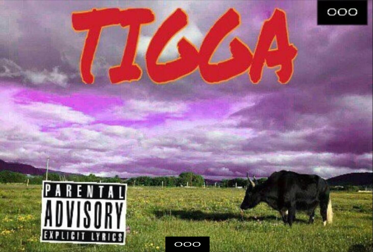 young  tigga  like  hiphop