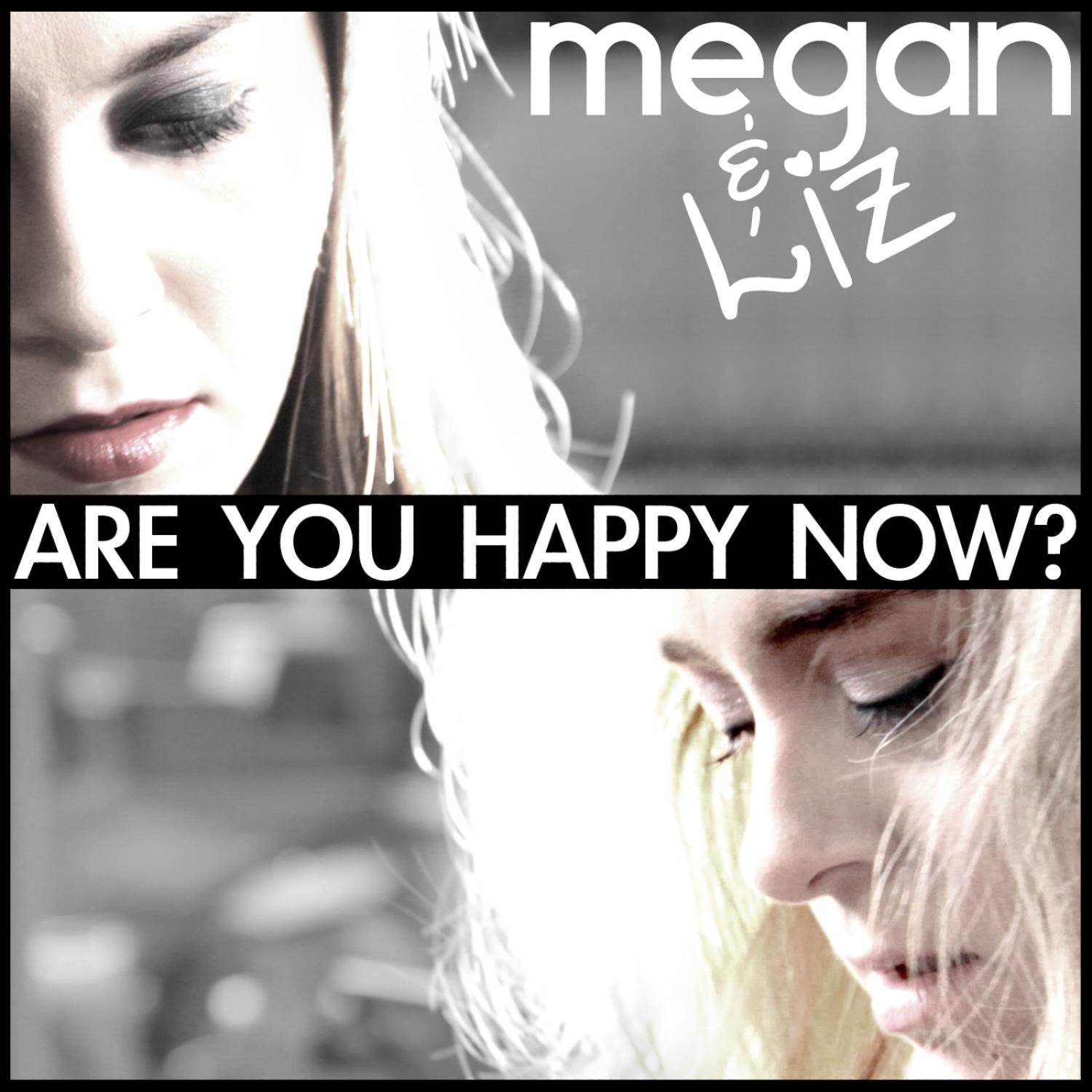 Are You Happy Now? - Single