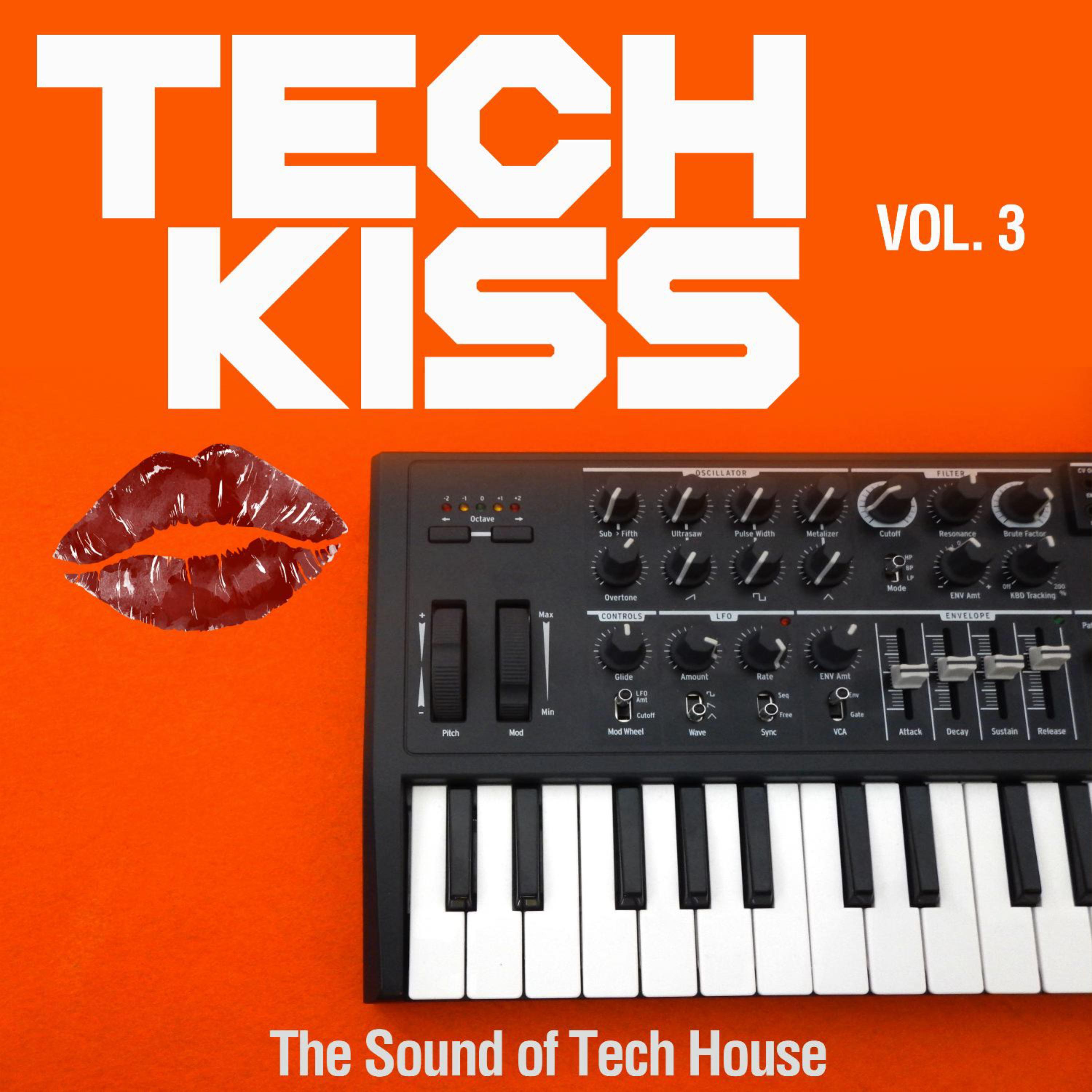 Tech Kiss, Vol. 3