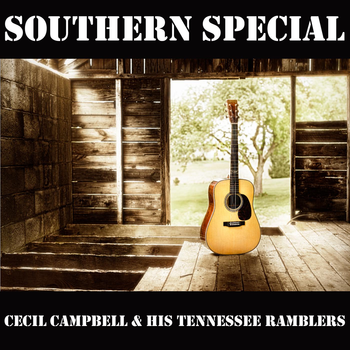 Cambell's Steel Guitar Special (Instrumental)