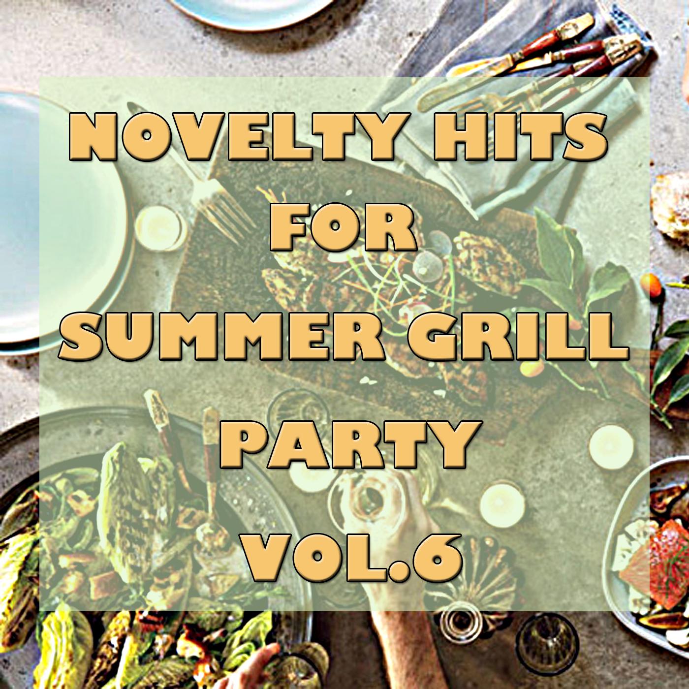 Novelty Hits For Summer Grill Party, Vol.6