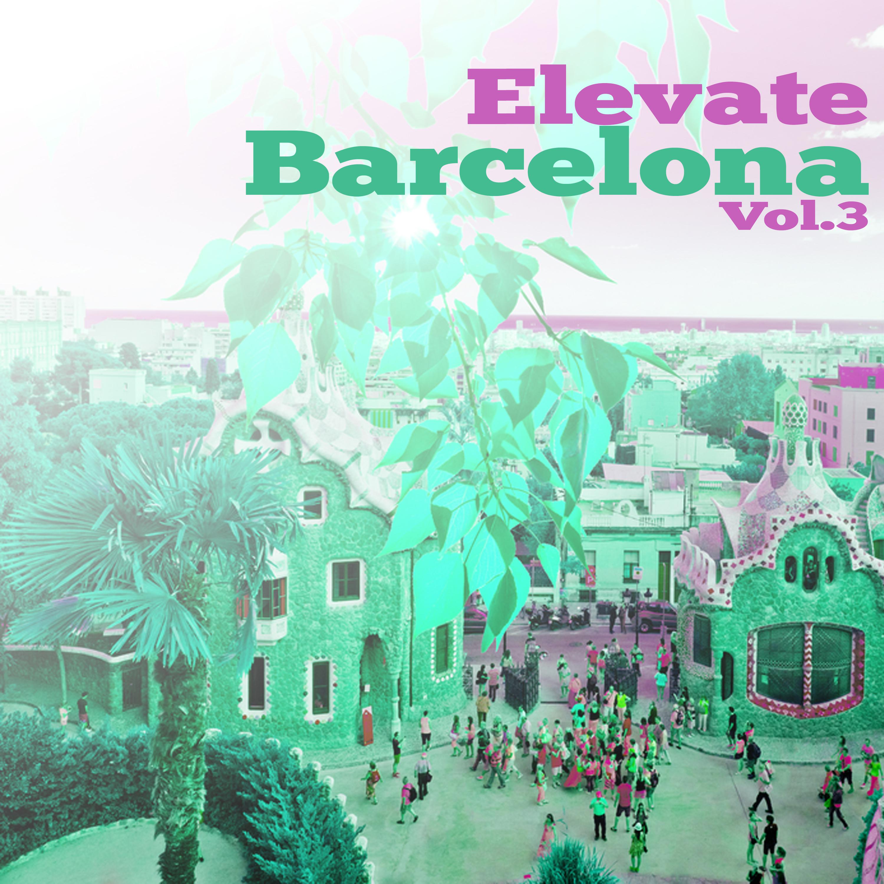 Elevate Barcelona, Vol. 3 - Selection of Tech House