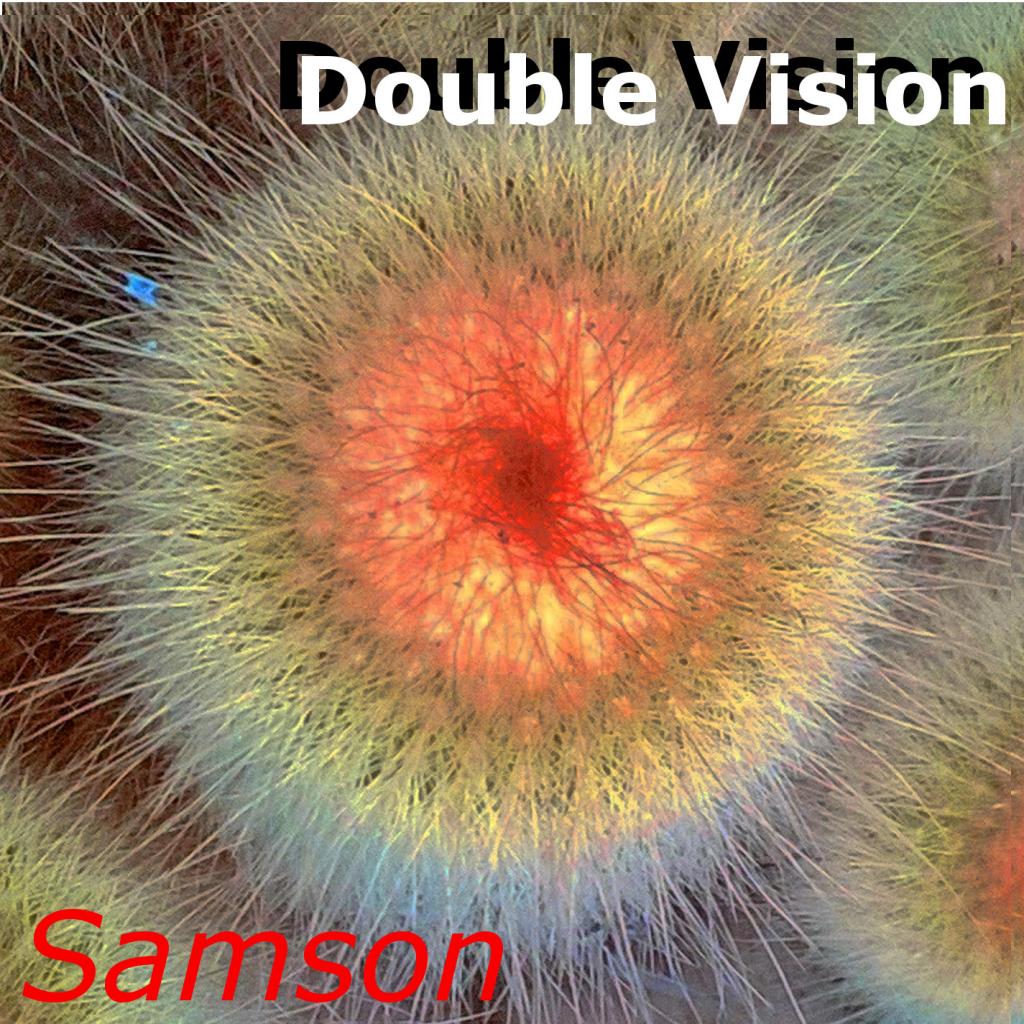 Double Vision