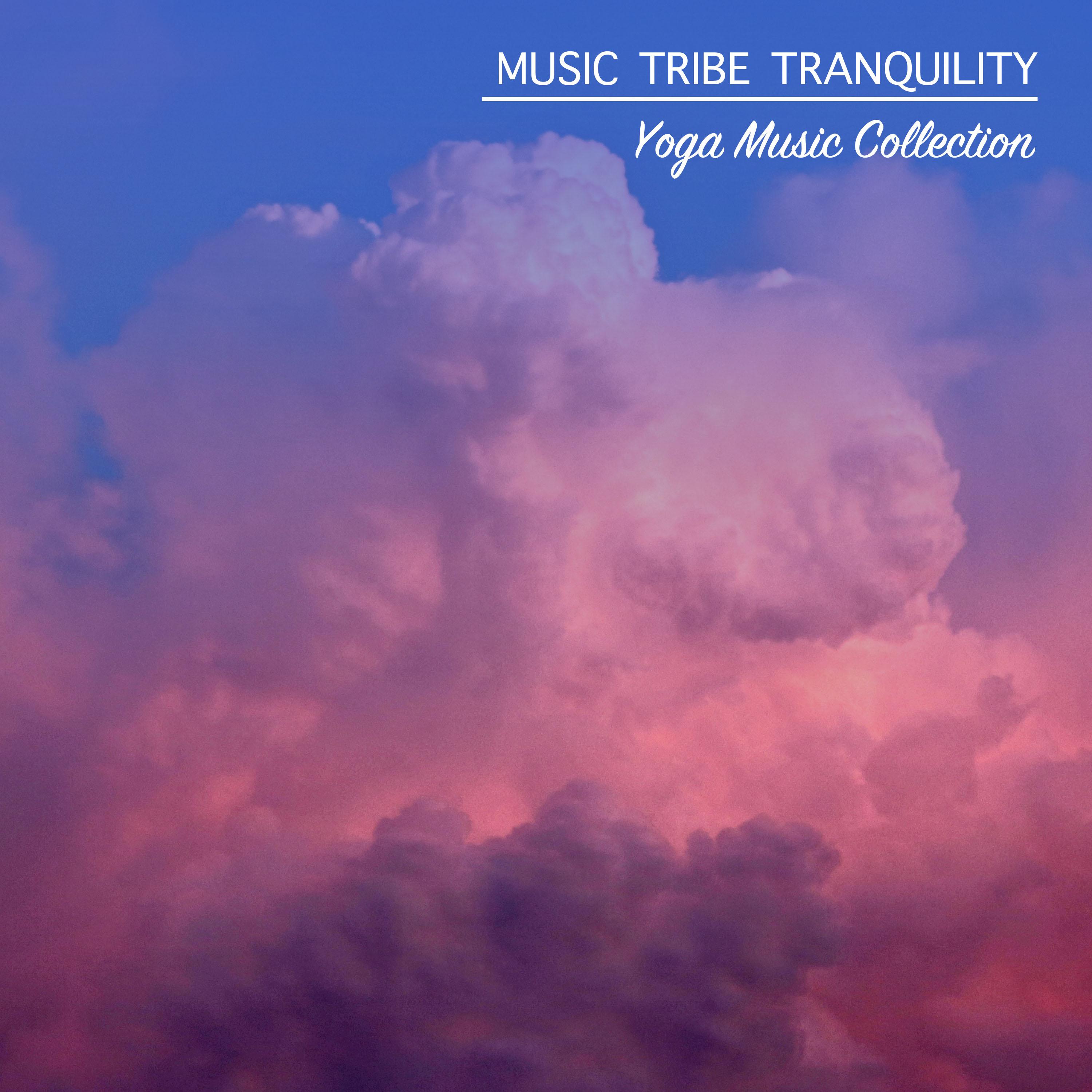 2018 A Yoga Music Collection: Music Tribe Tranquility