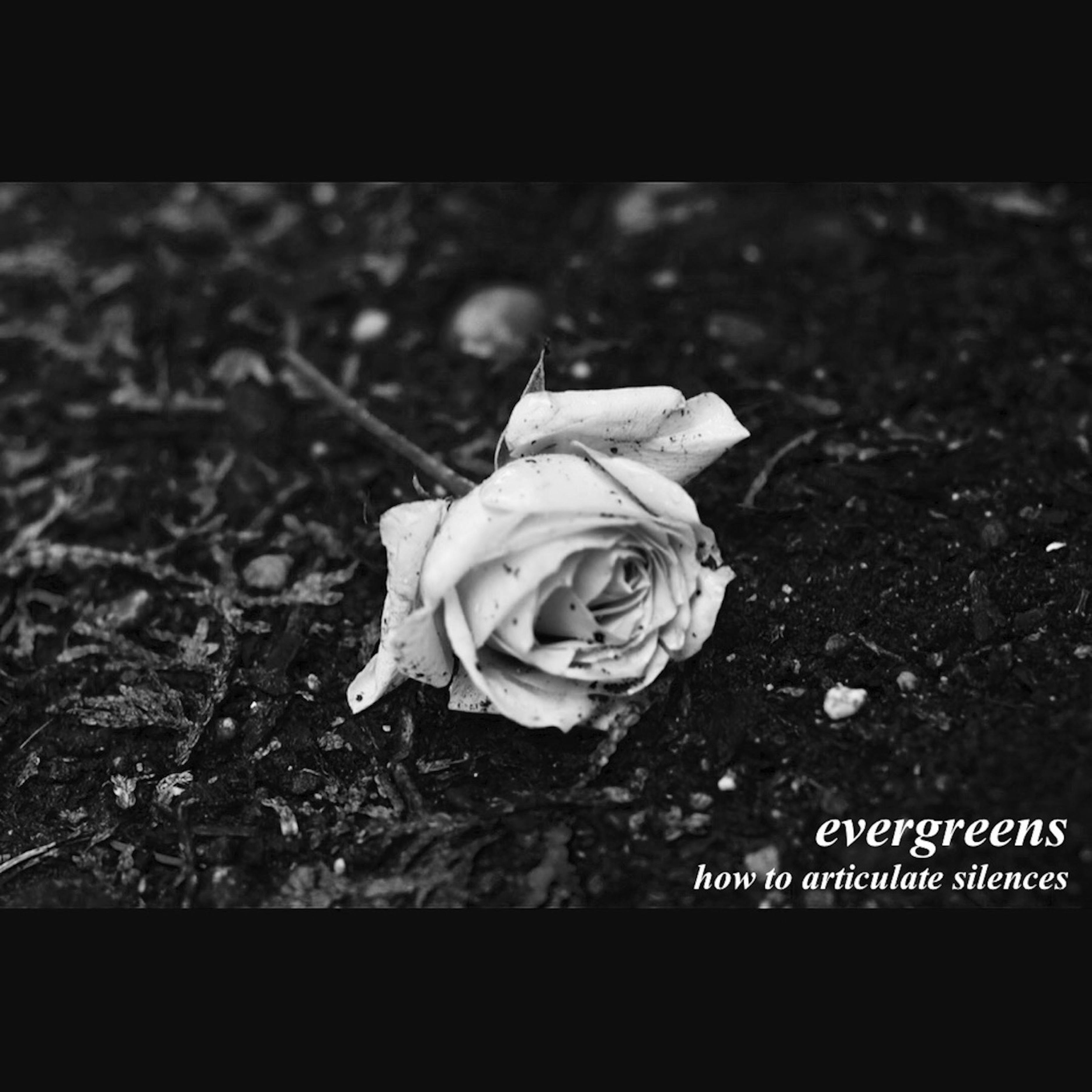 down the rabbit hole