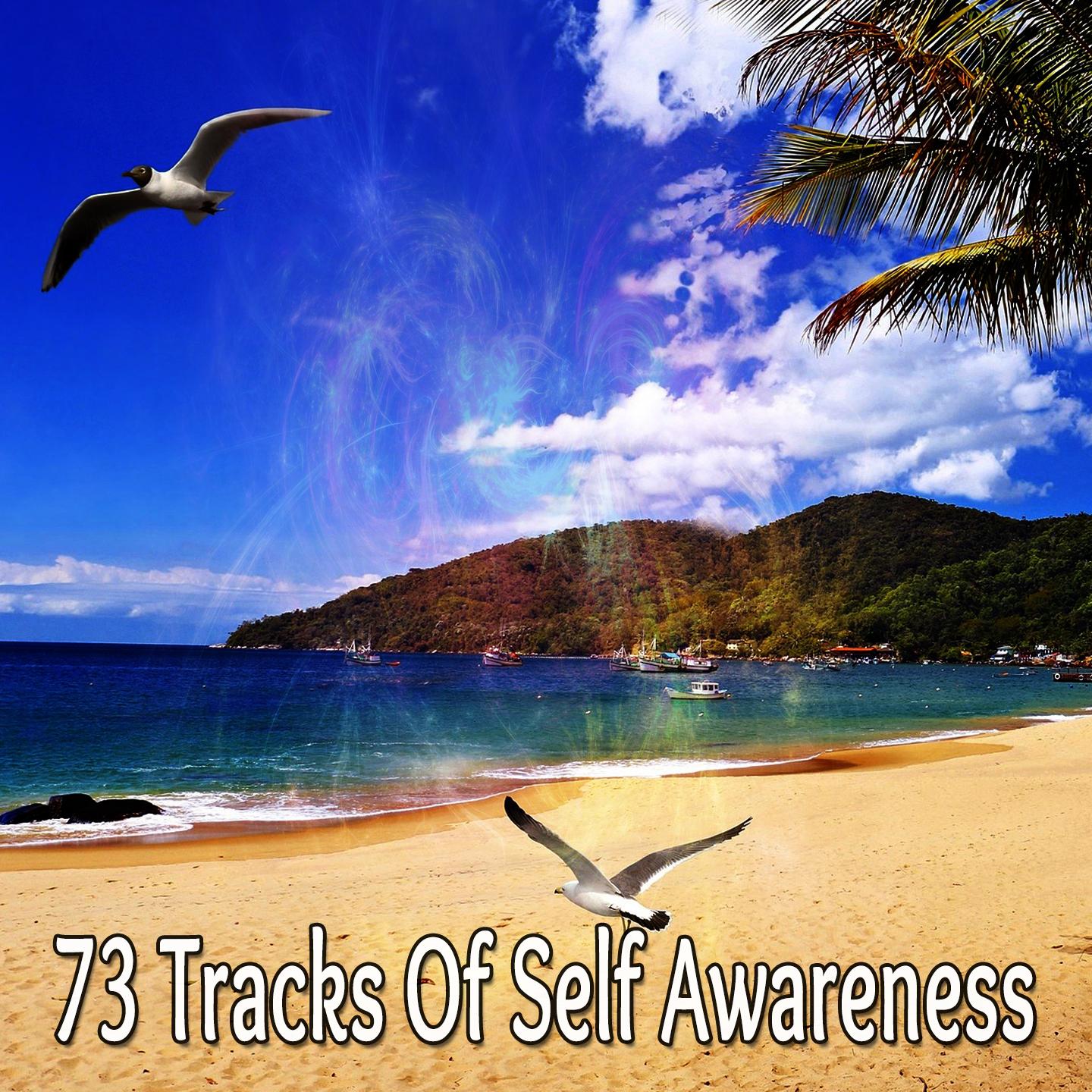 73 Tracks Of Self Awareness