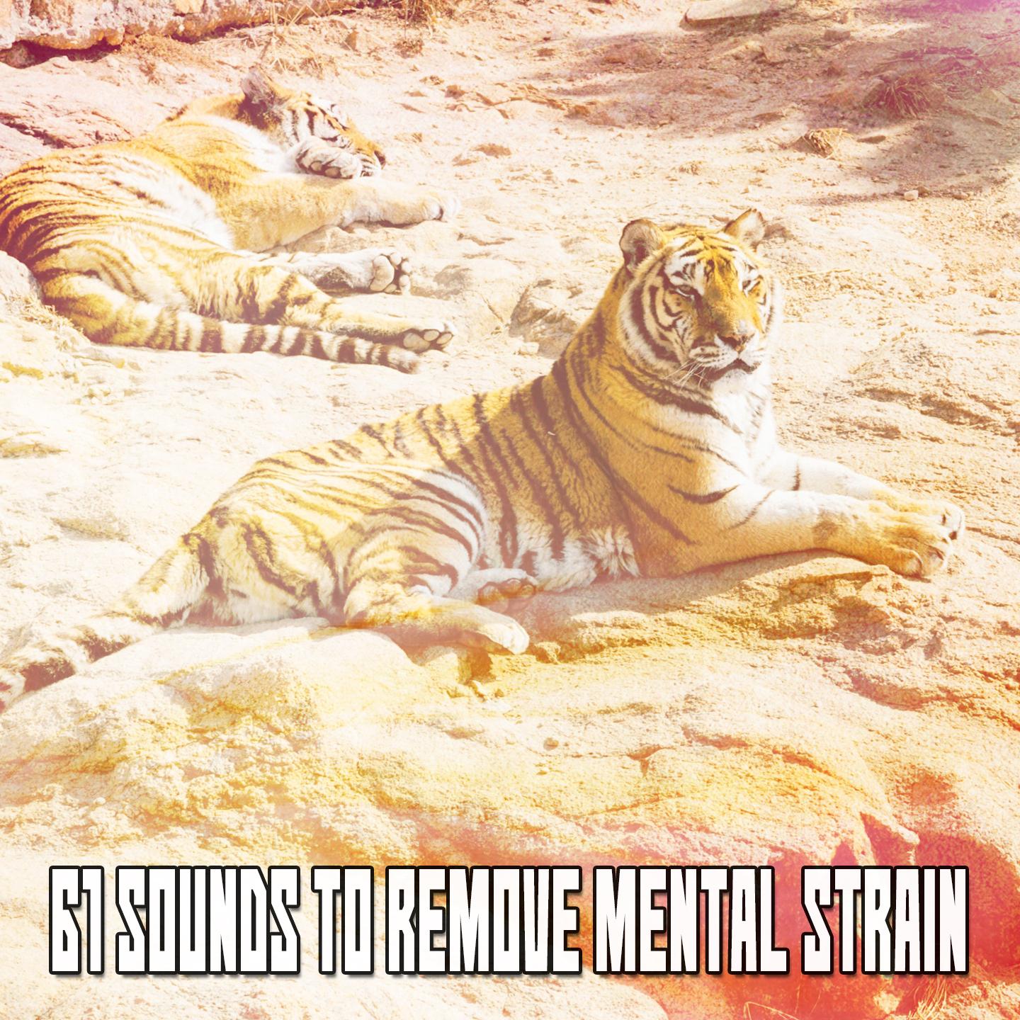 61 Sounds To Remove Mental Strain