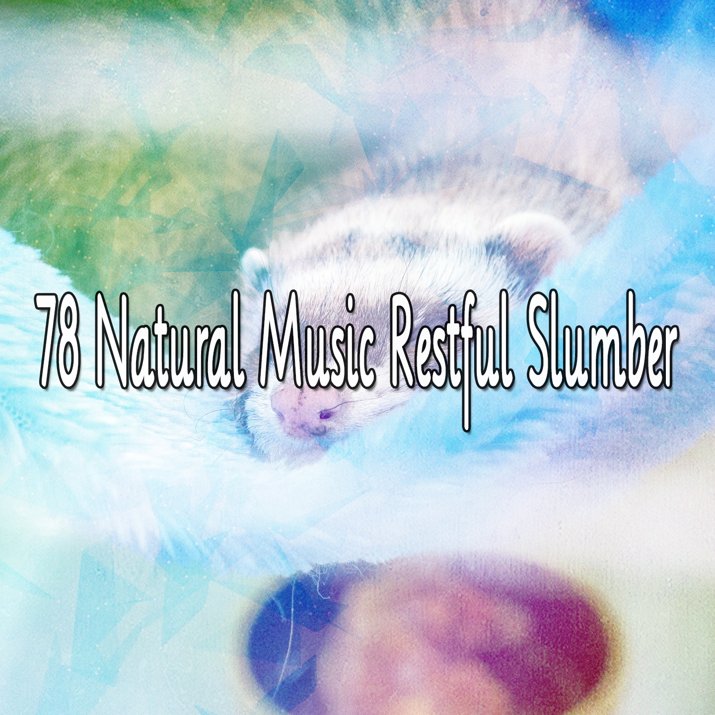 78 Natural Music Restful Slumber