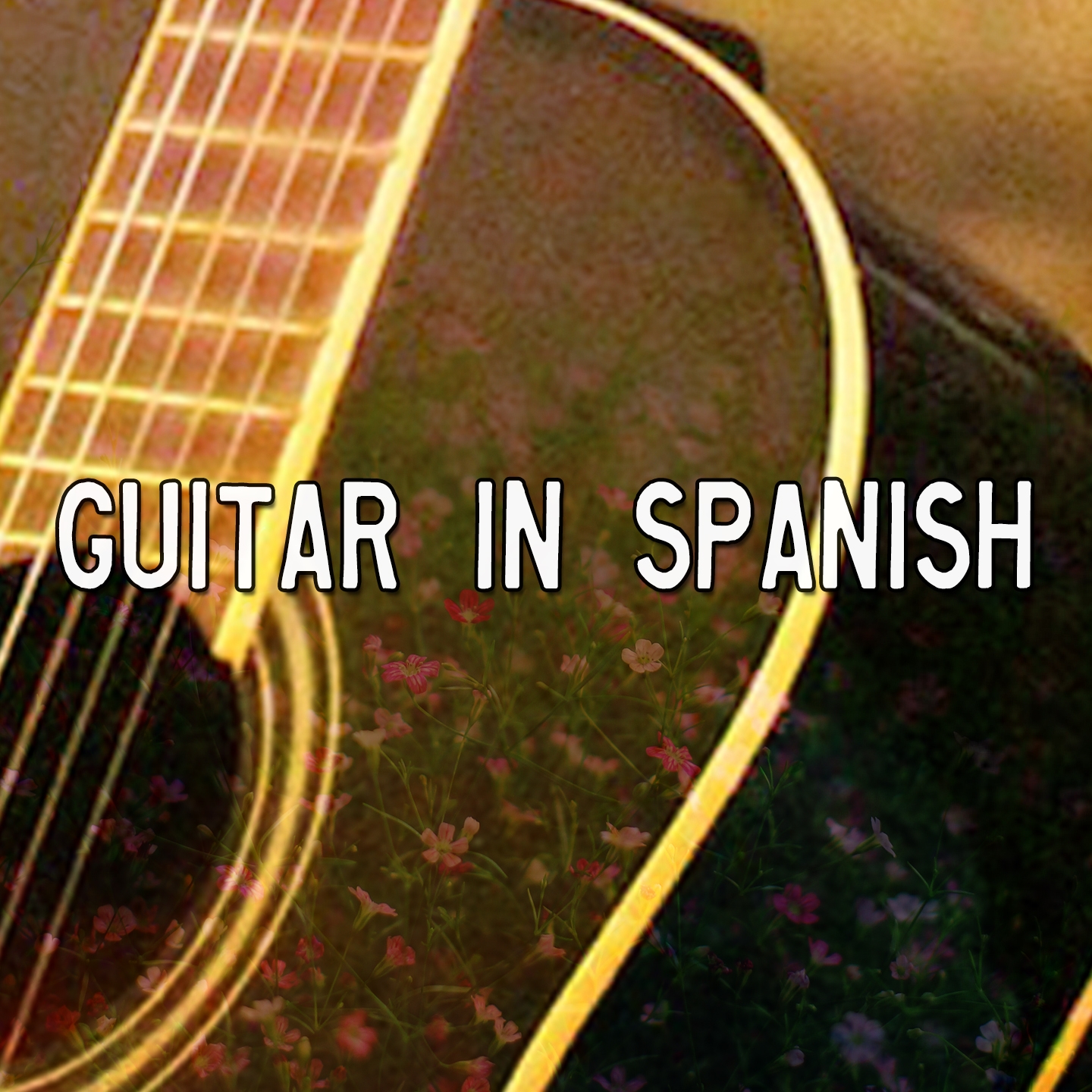 Guitar In Spanish