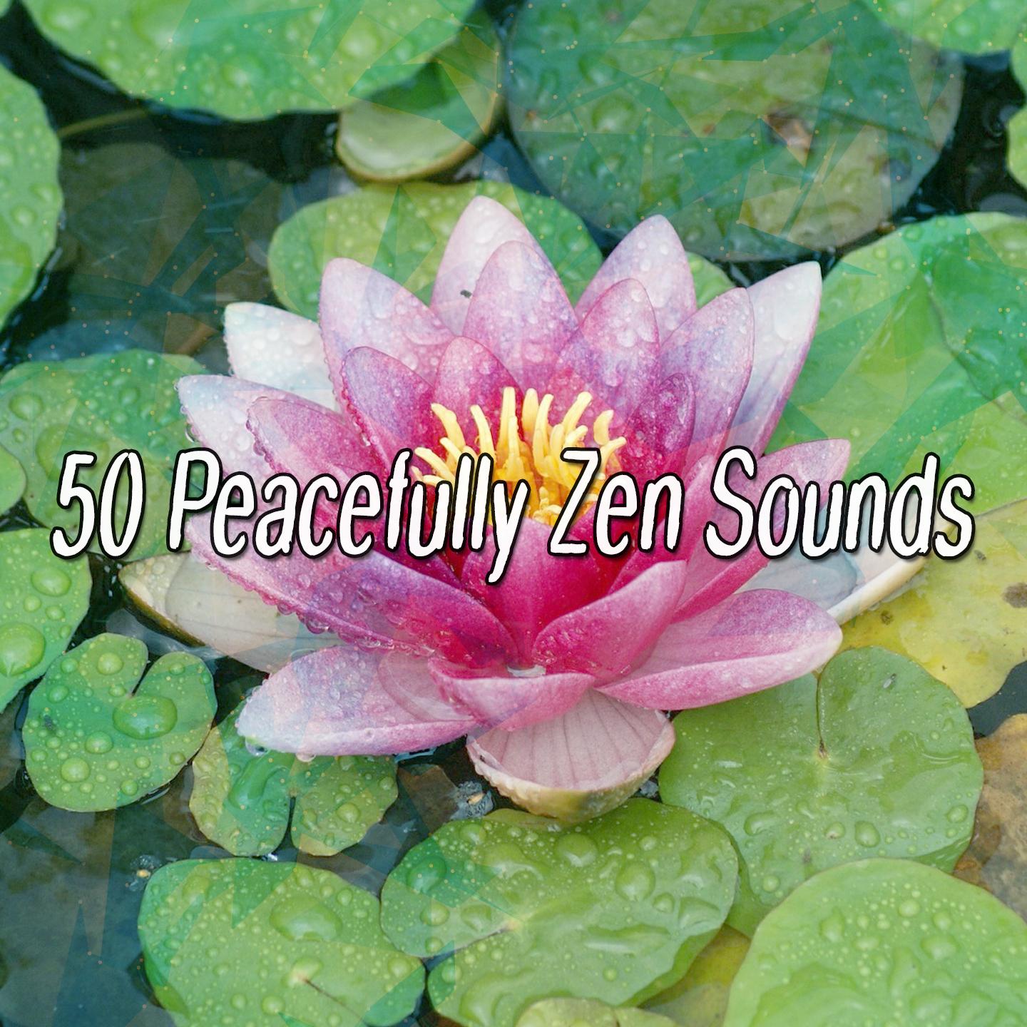 50 Peacefully Zen Sounds