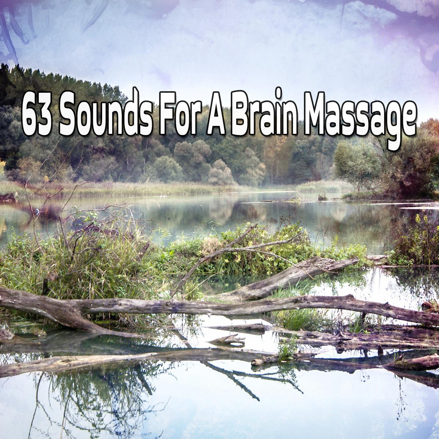 63 Sounds For A Brain Massage