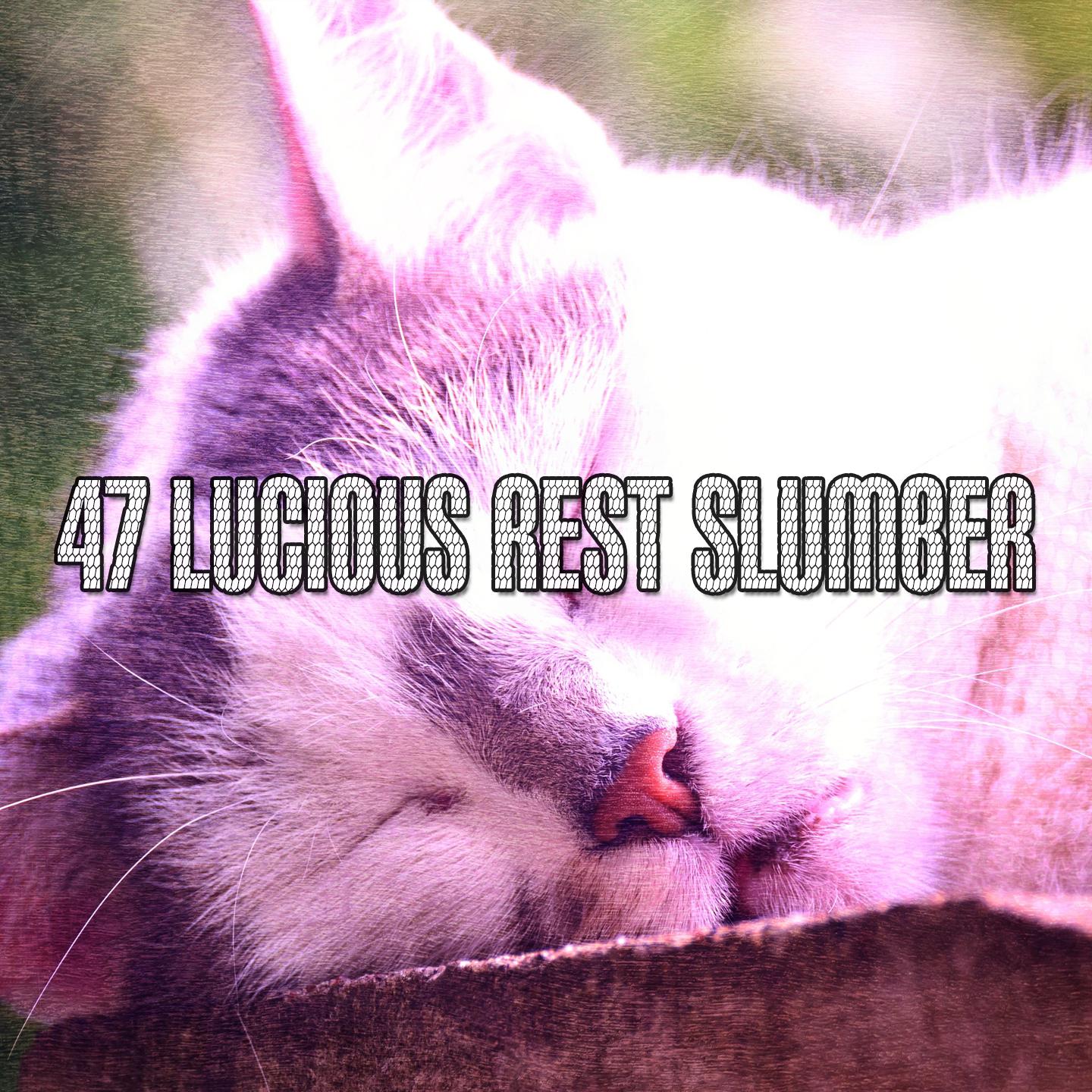 47 Lucious Rest Slumber