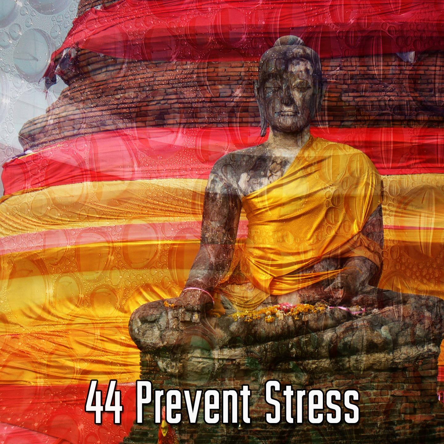 44 Prevent Stress