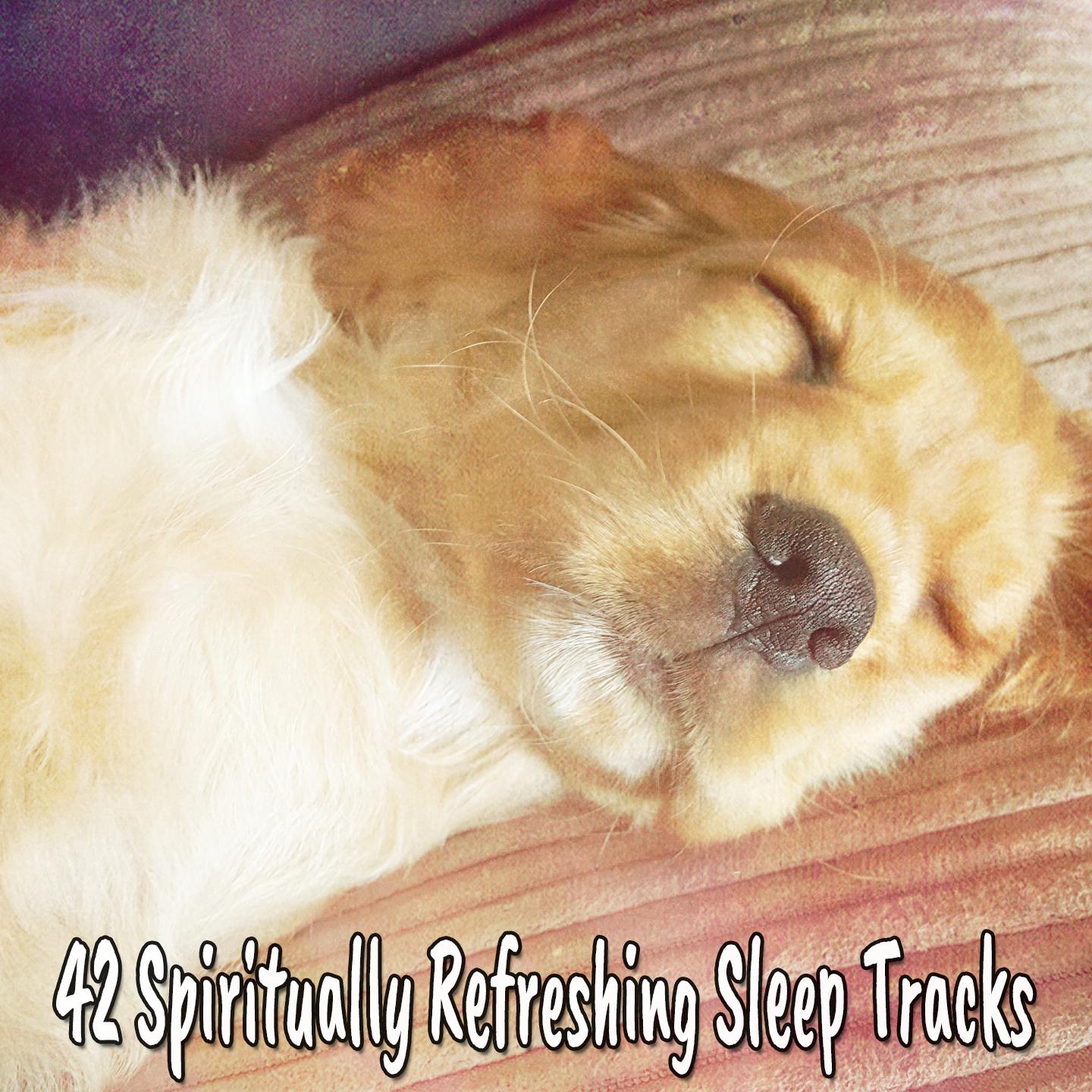 42 Spiritually Refreshing Sleep Tracks