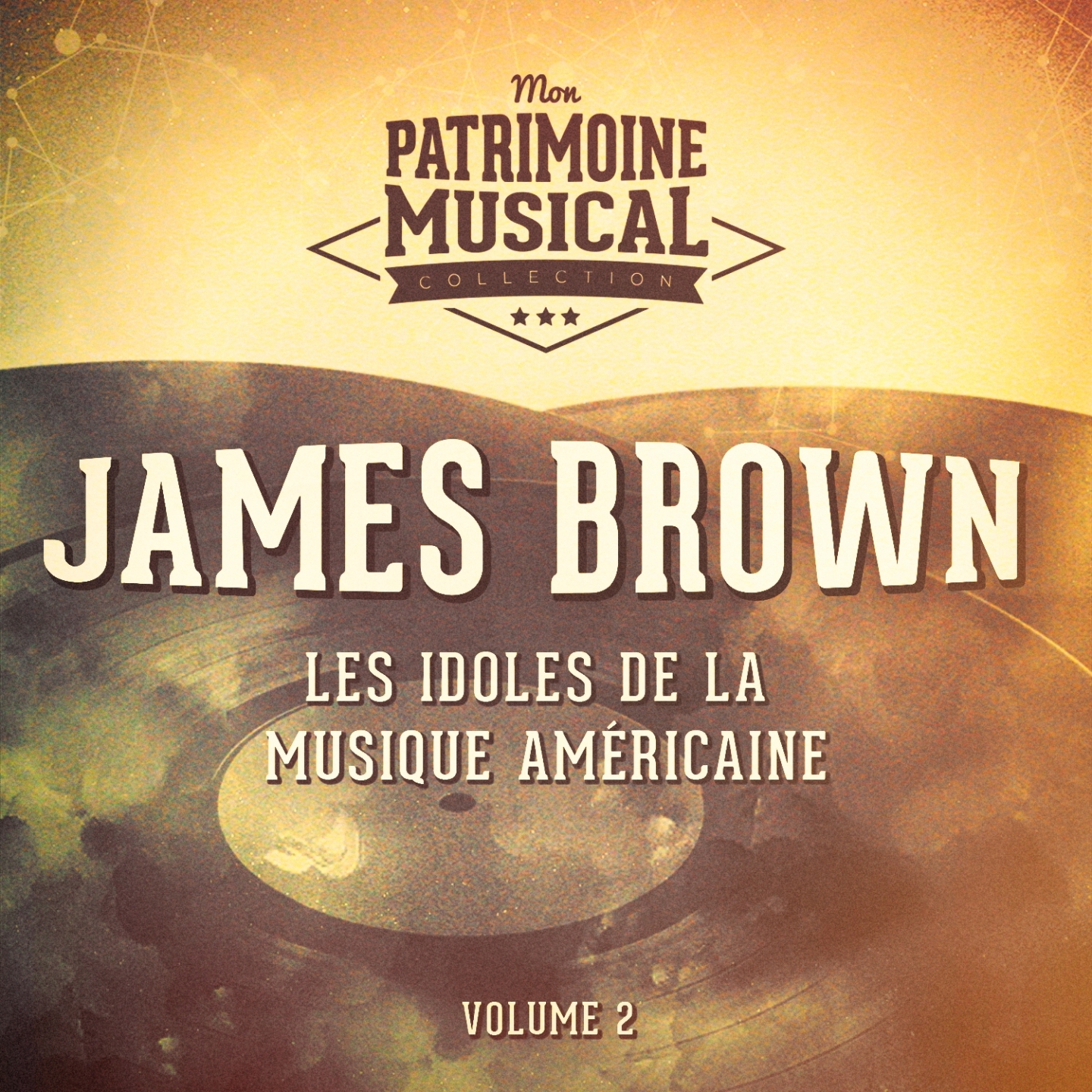 Les Idoles De La Musique Ame ricaine: James Brown, Vol. 2
