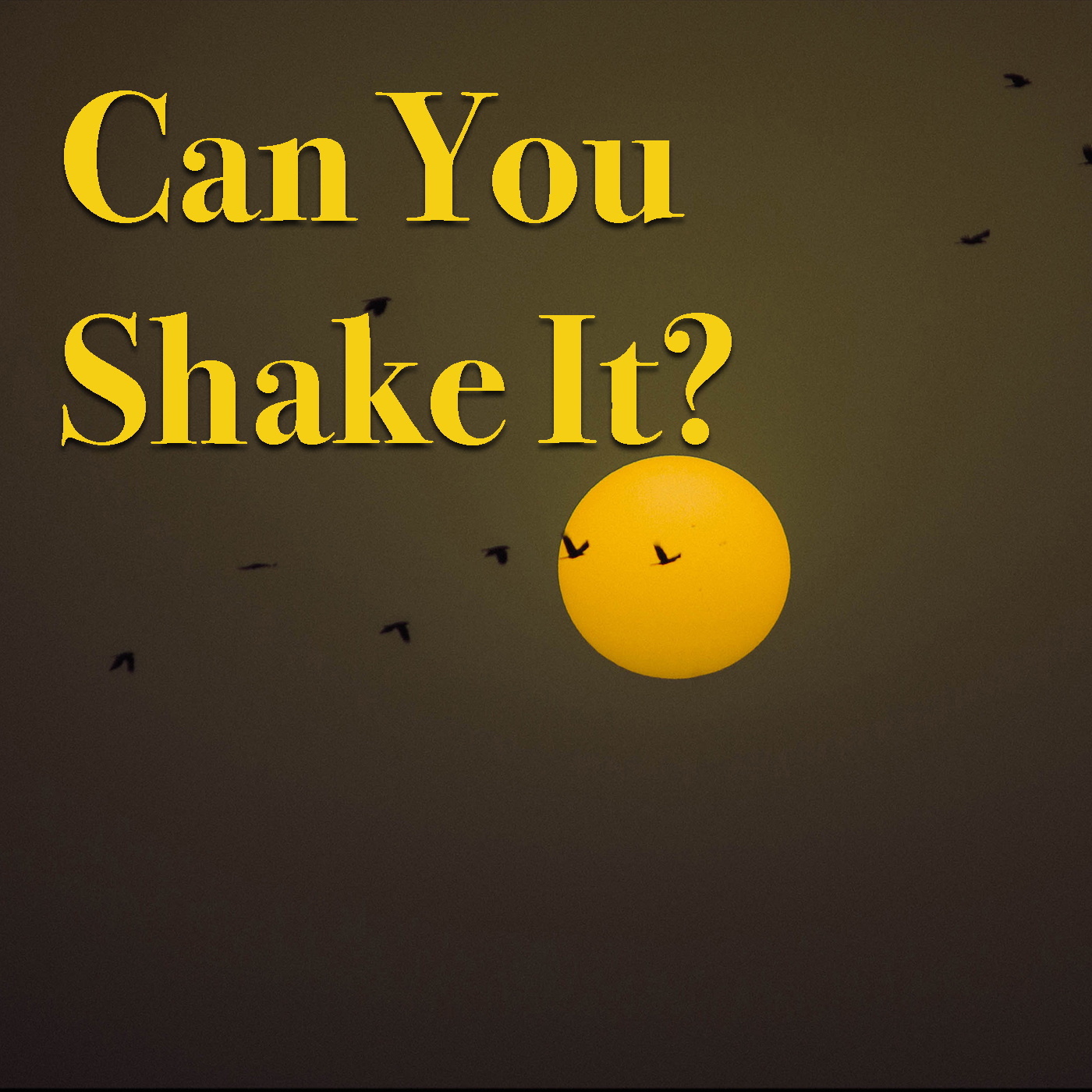 Can You Shake It?