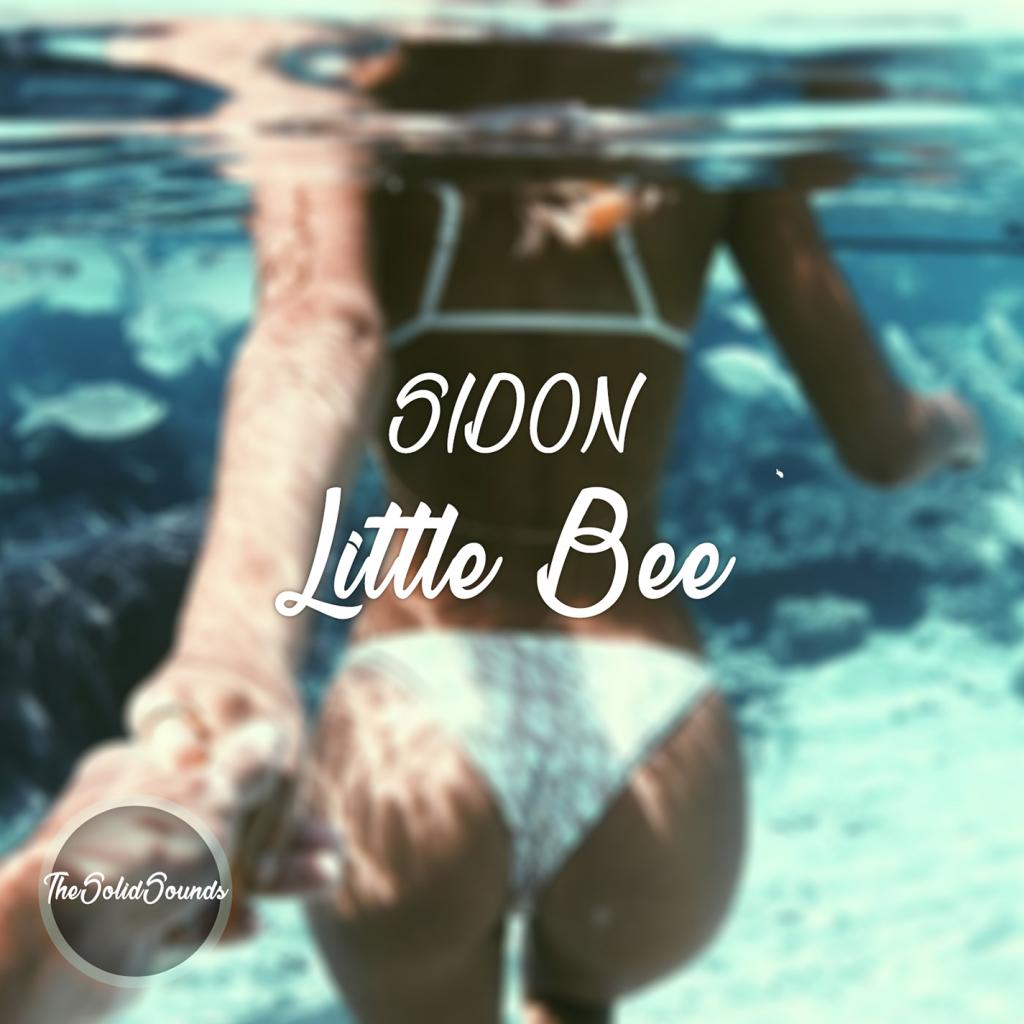 Little Bee