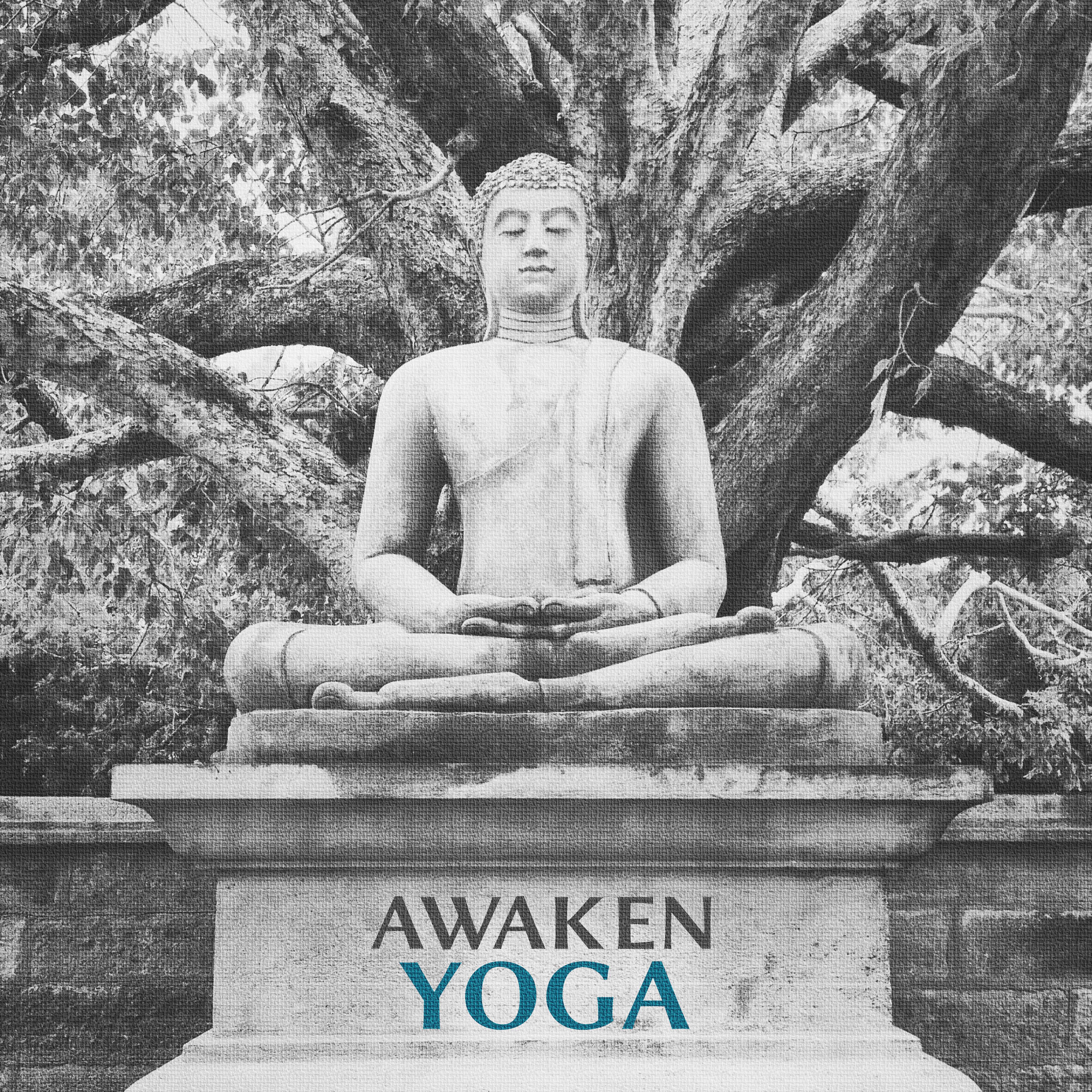 Awaken Yoga Relaxation Music for Yoga, Meditation, Calmimg Sounds of Nature, Yoga Music, Deep Meditation Music
