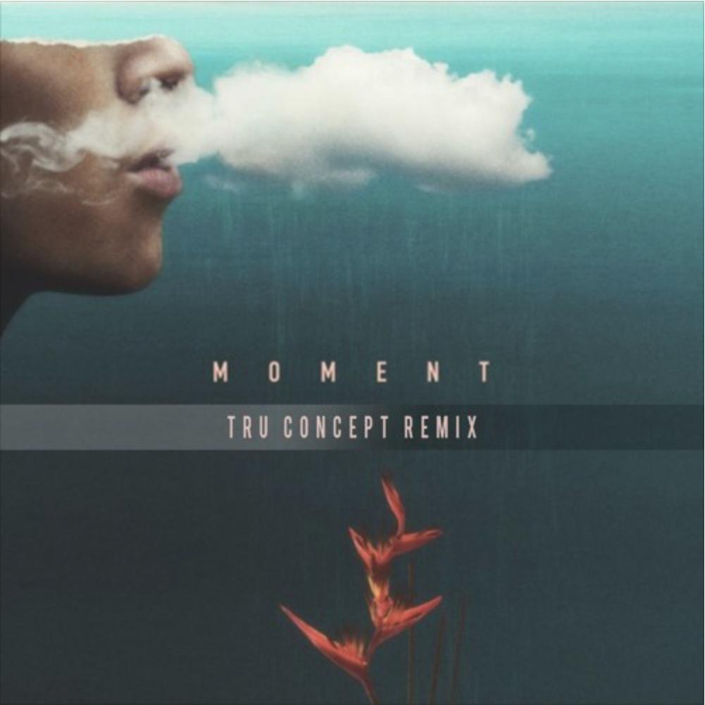 Moments (TRU Concept Remix)