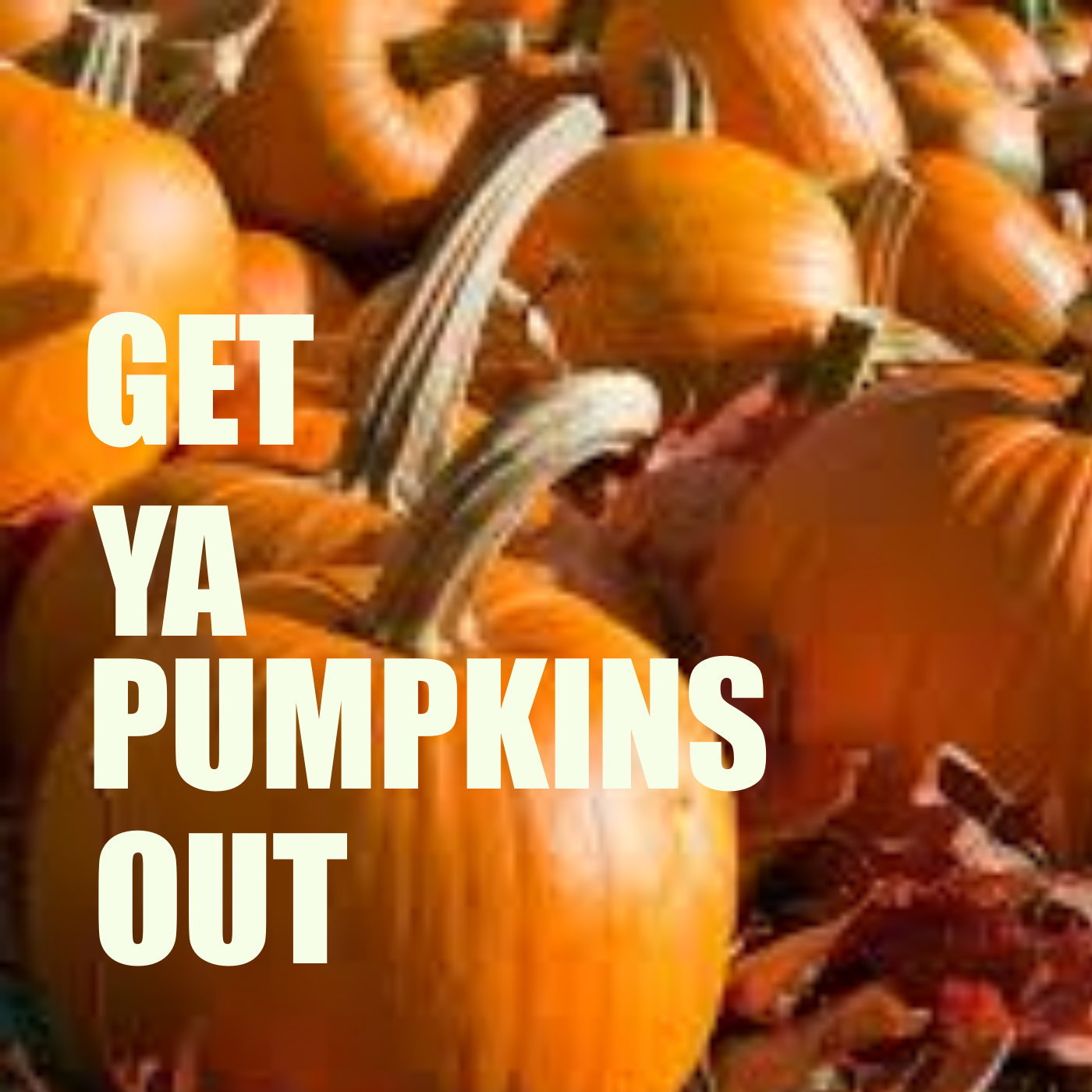 Get Ya Pumpkins Out