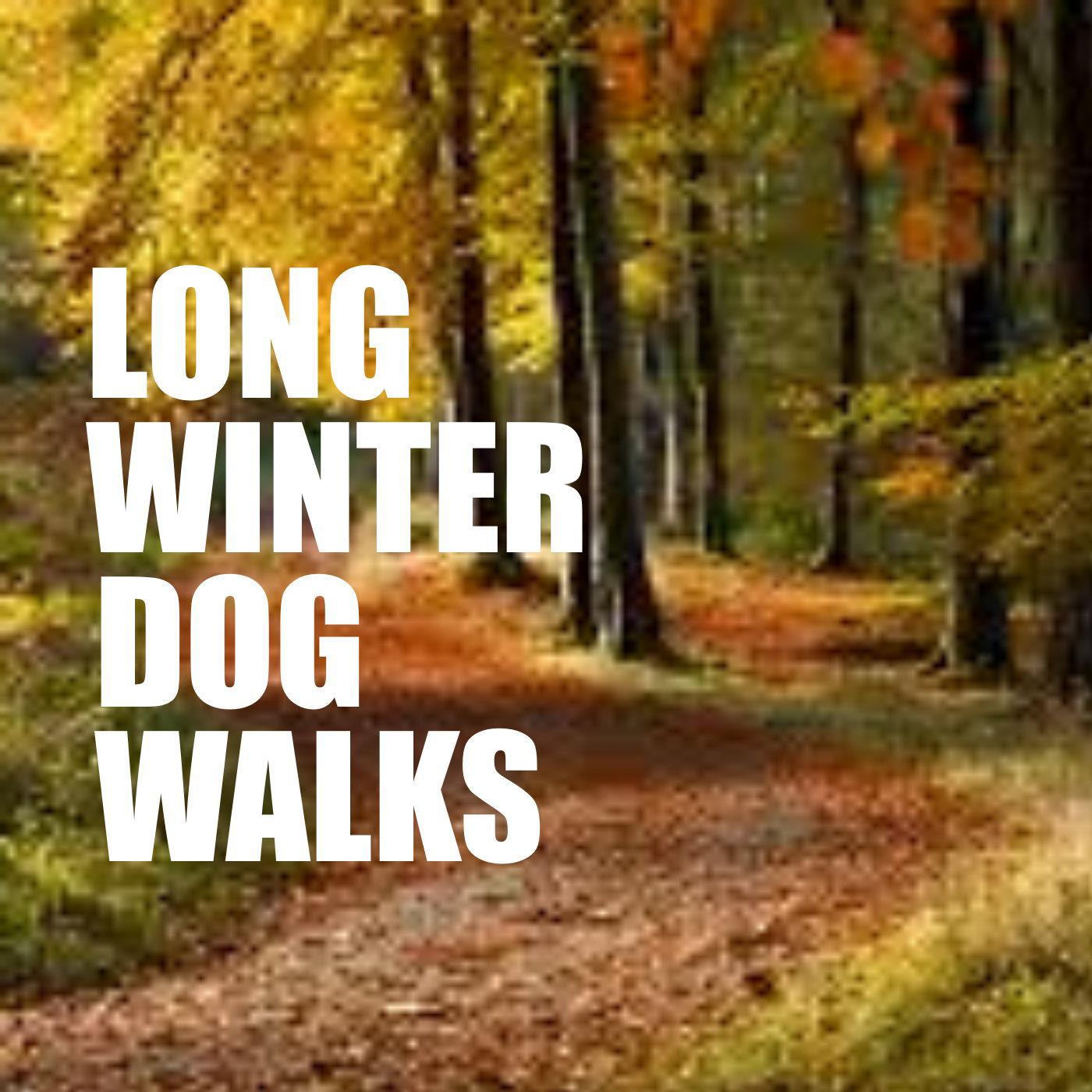 Long Winter Dog Walks