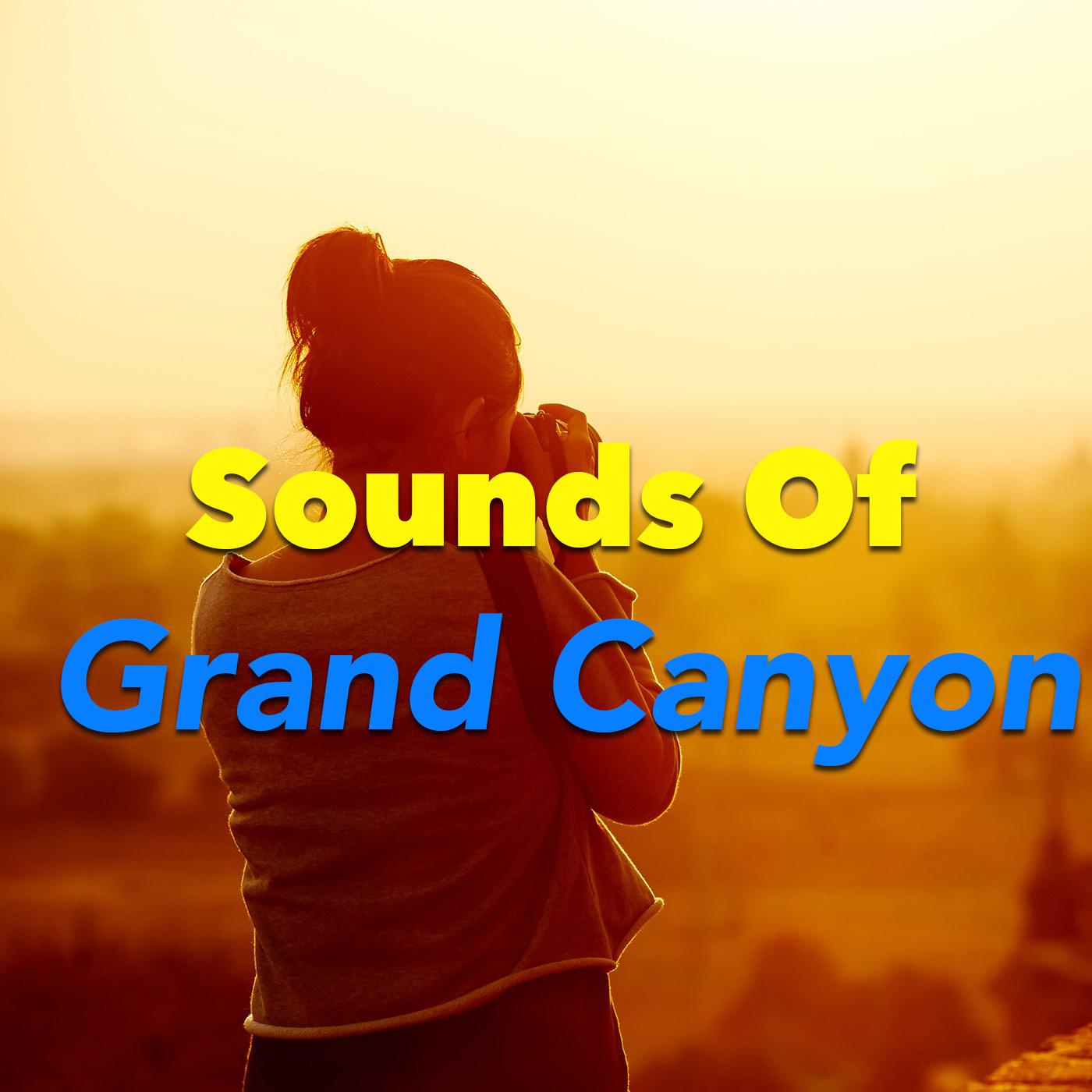 Sounds Of Grand Canyon