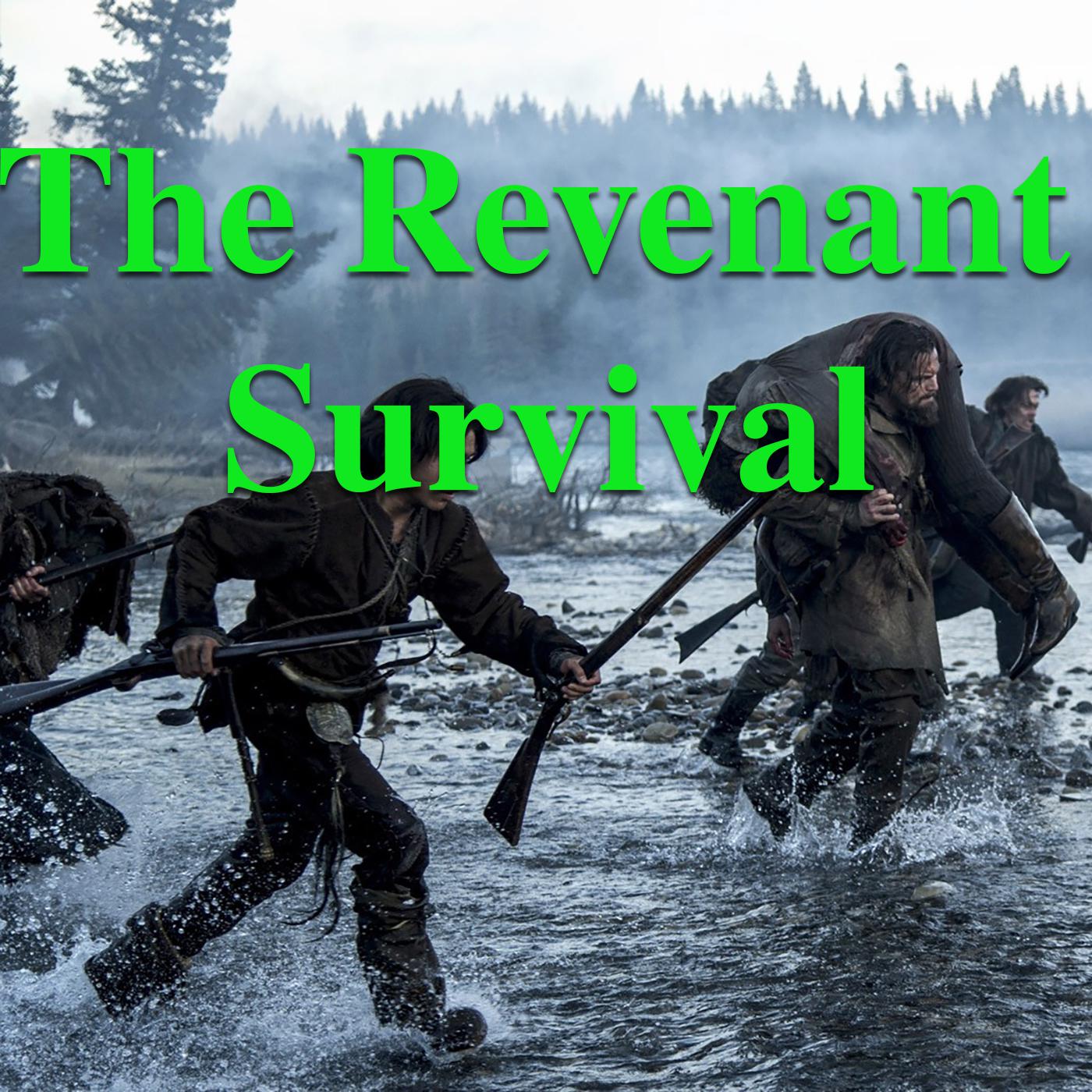 The Revenant Survival