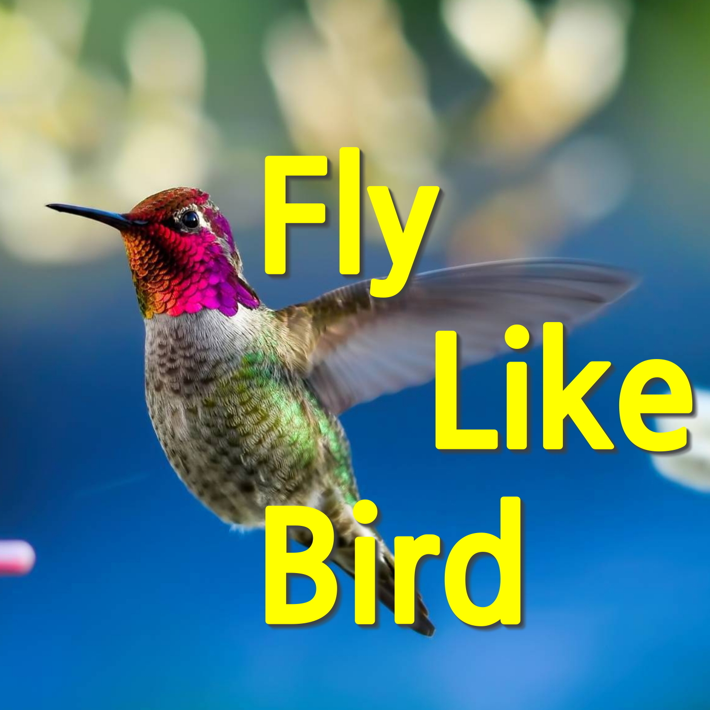 Fly Like Bird