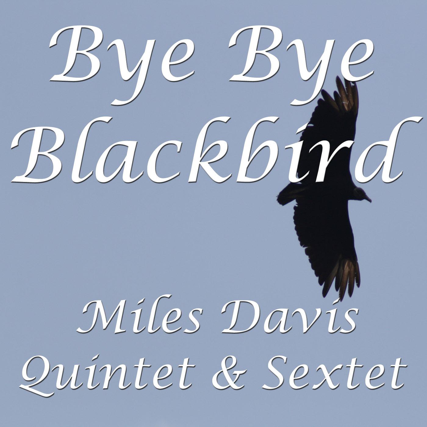 Bye Bye Blackbird