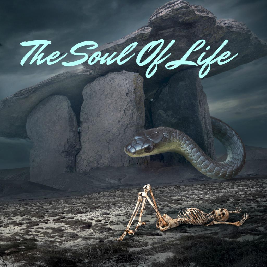 The Soul Of Life