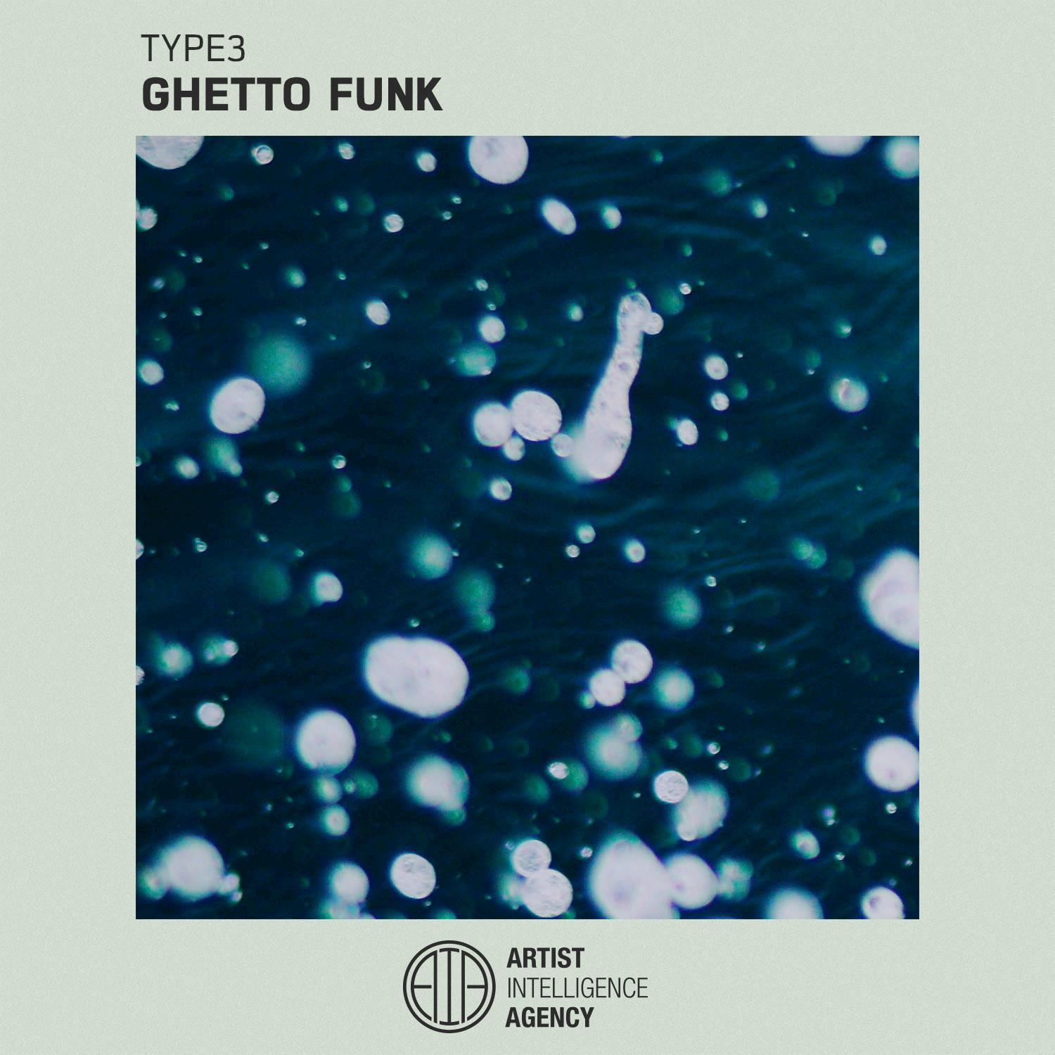 Ghetto Funk