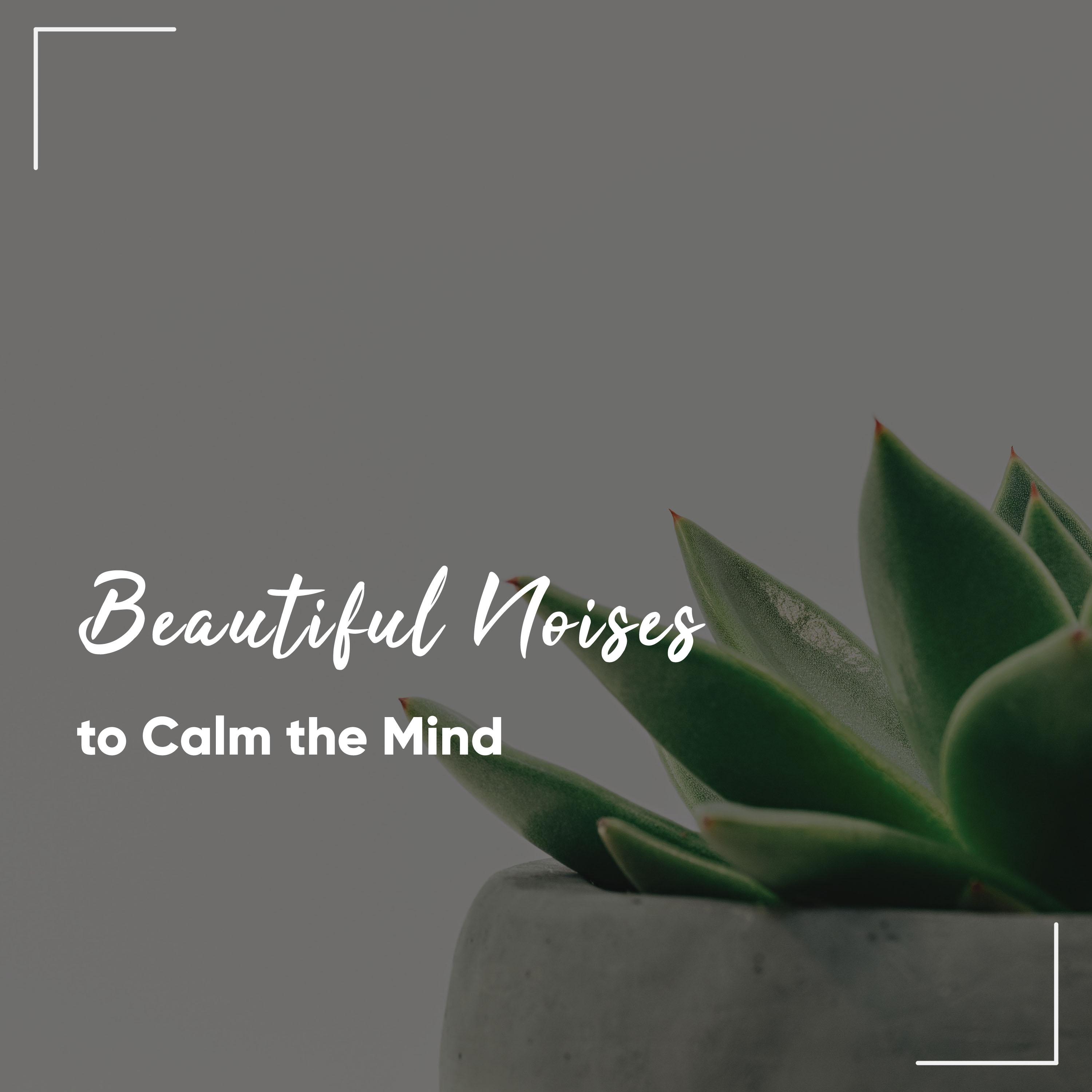 #16 Beautiful Noises to Calm the Mind