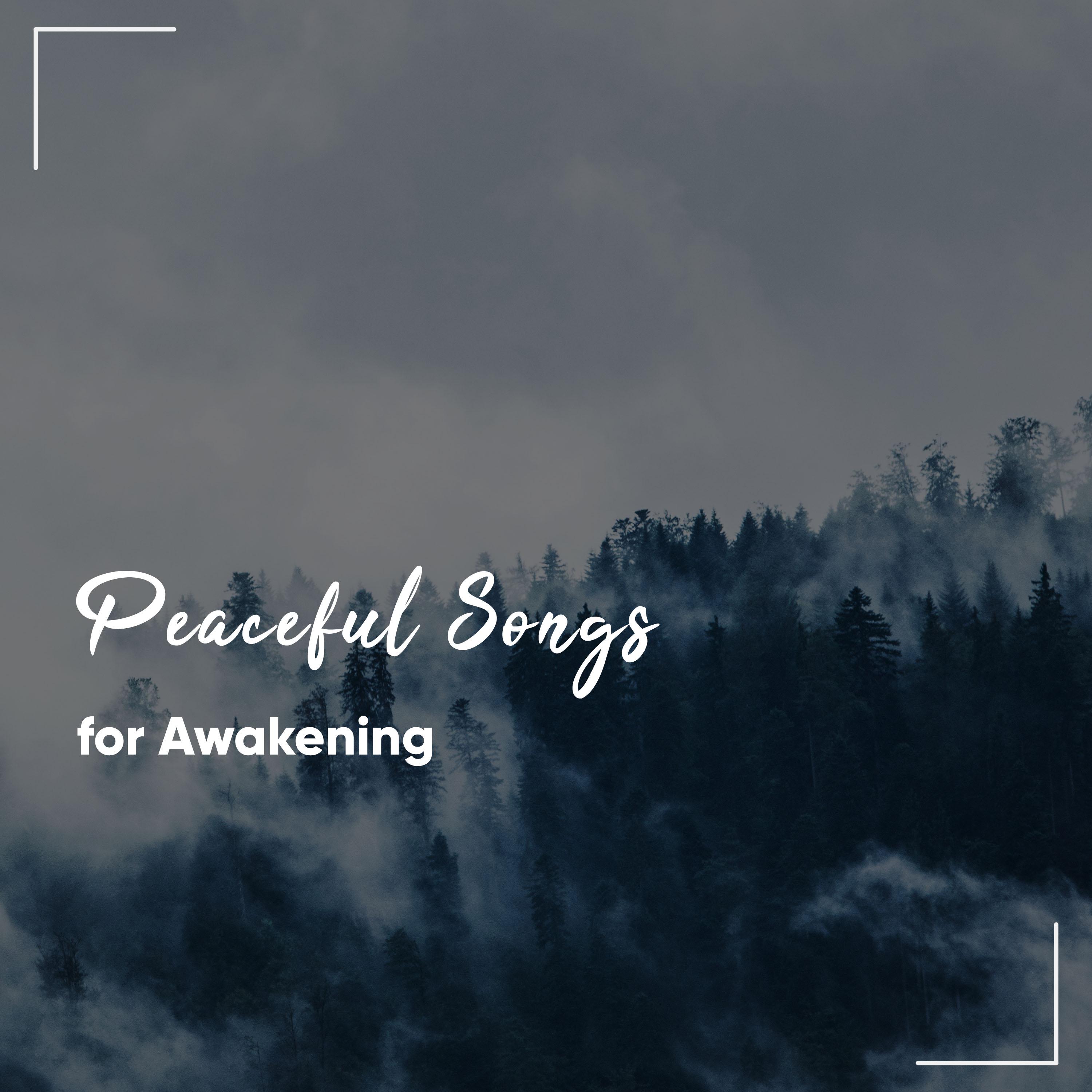 #15 Peaceful Songs for Spirital Awakening