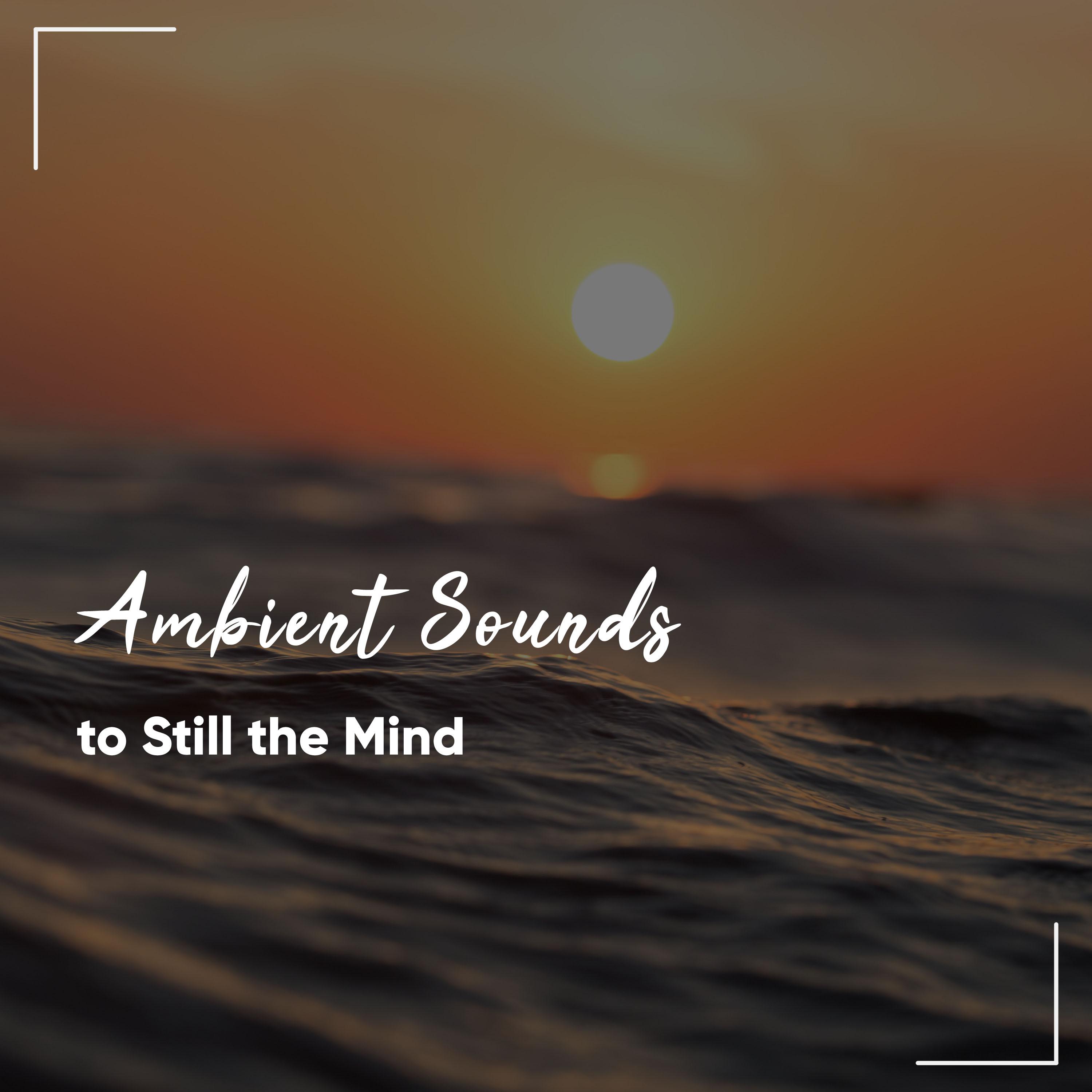 #17 Relaxing, Ambient Sounds to Still the Mind