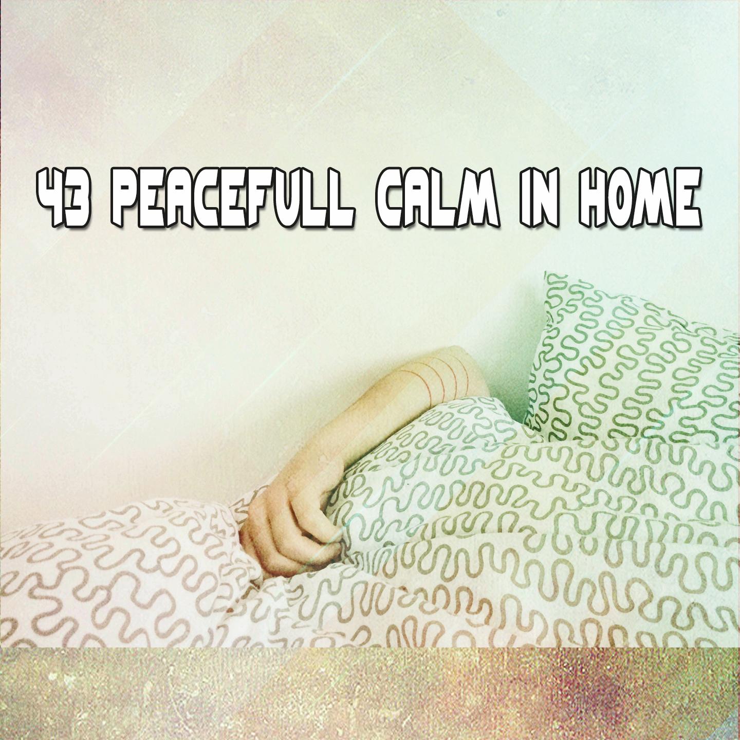 43 Peacefull Calm In Home