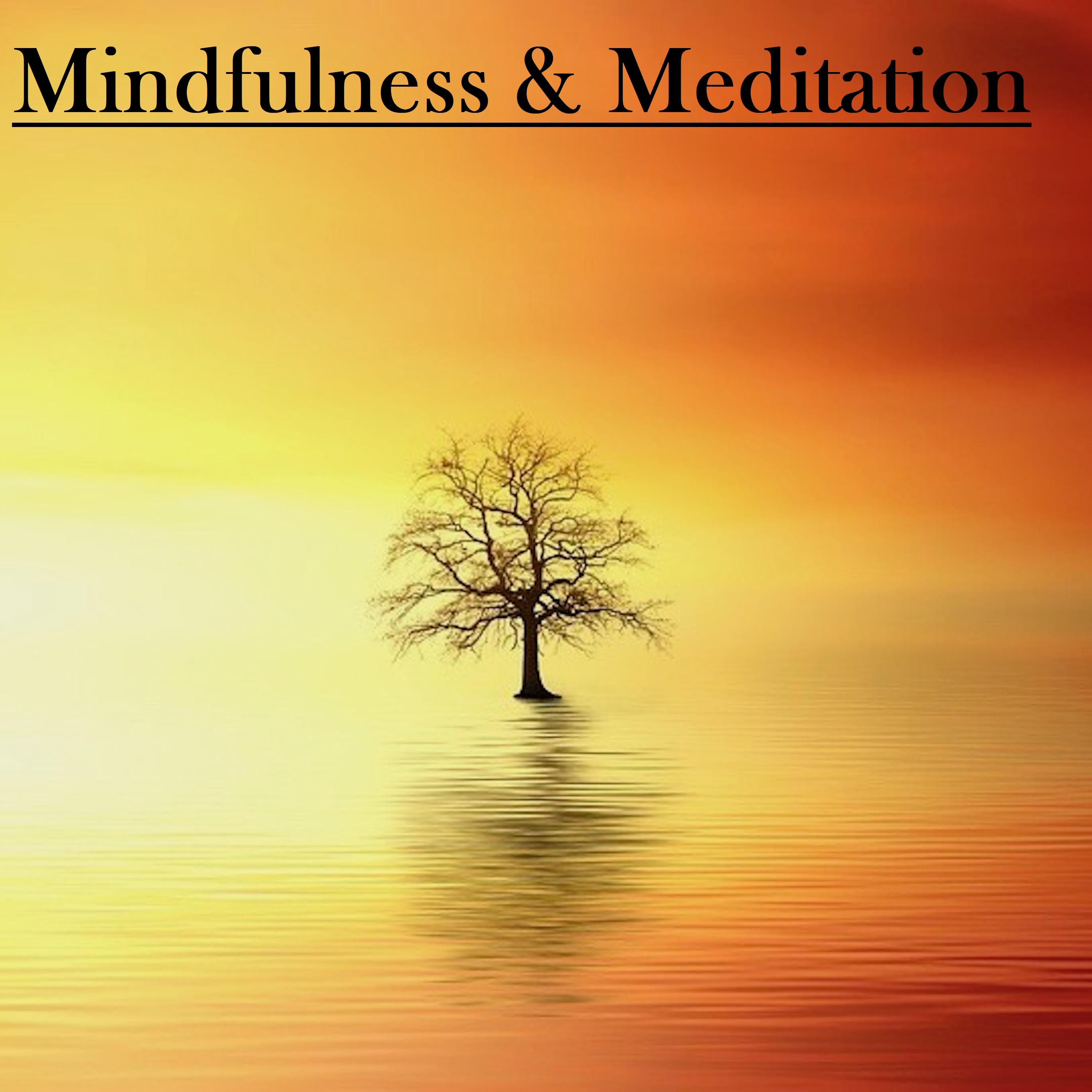 21 Mindfulness and Meditation Rain Sounds