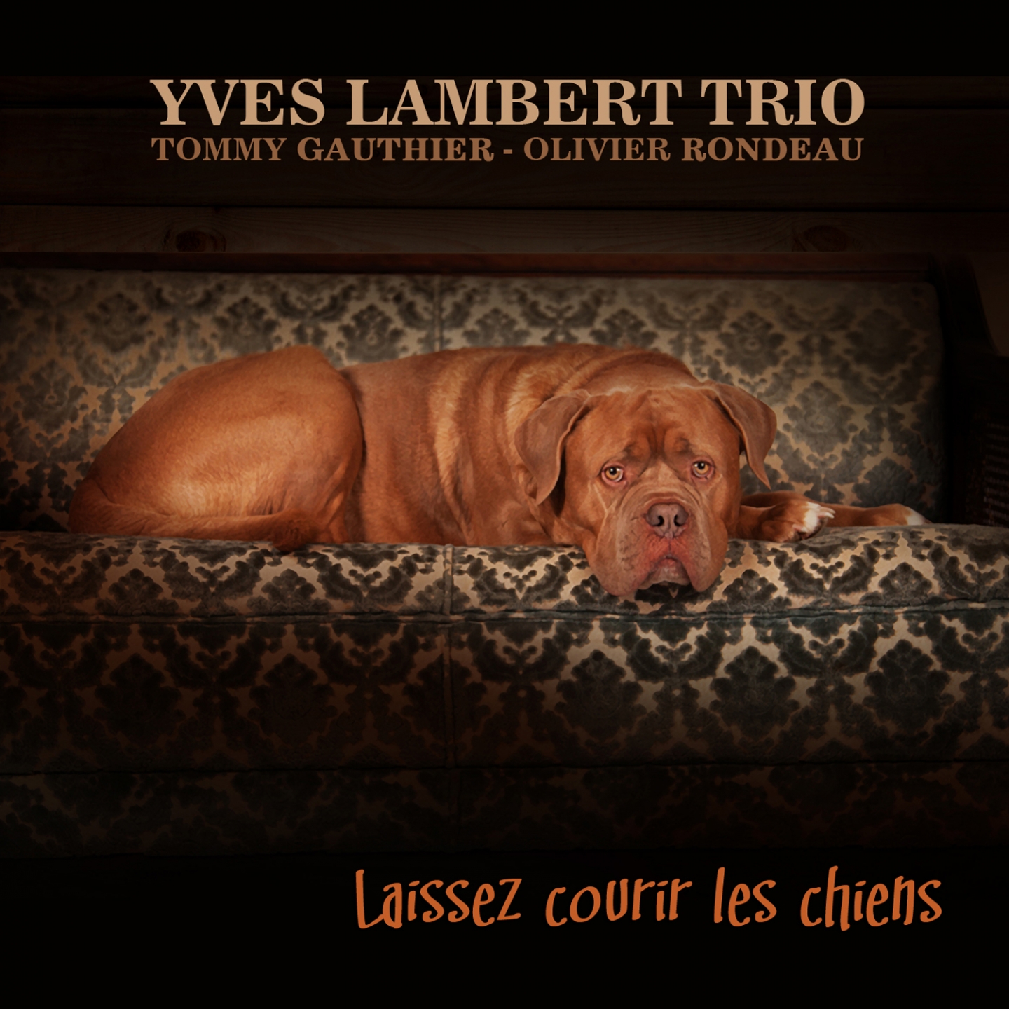 Laissez courir les chiens